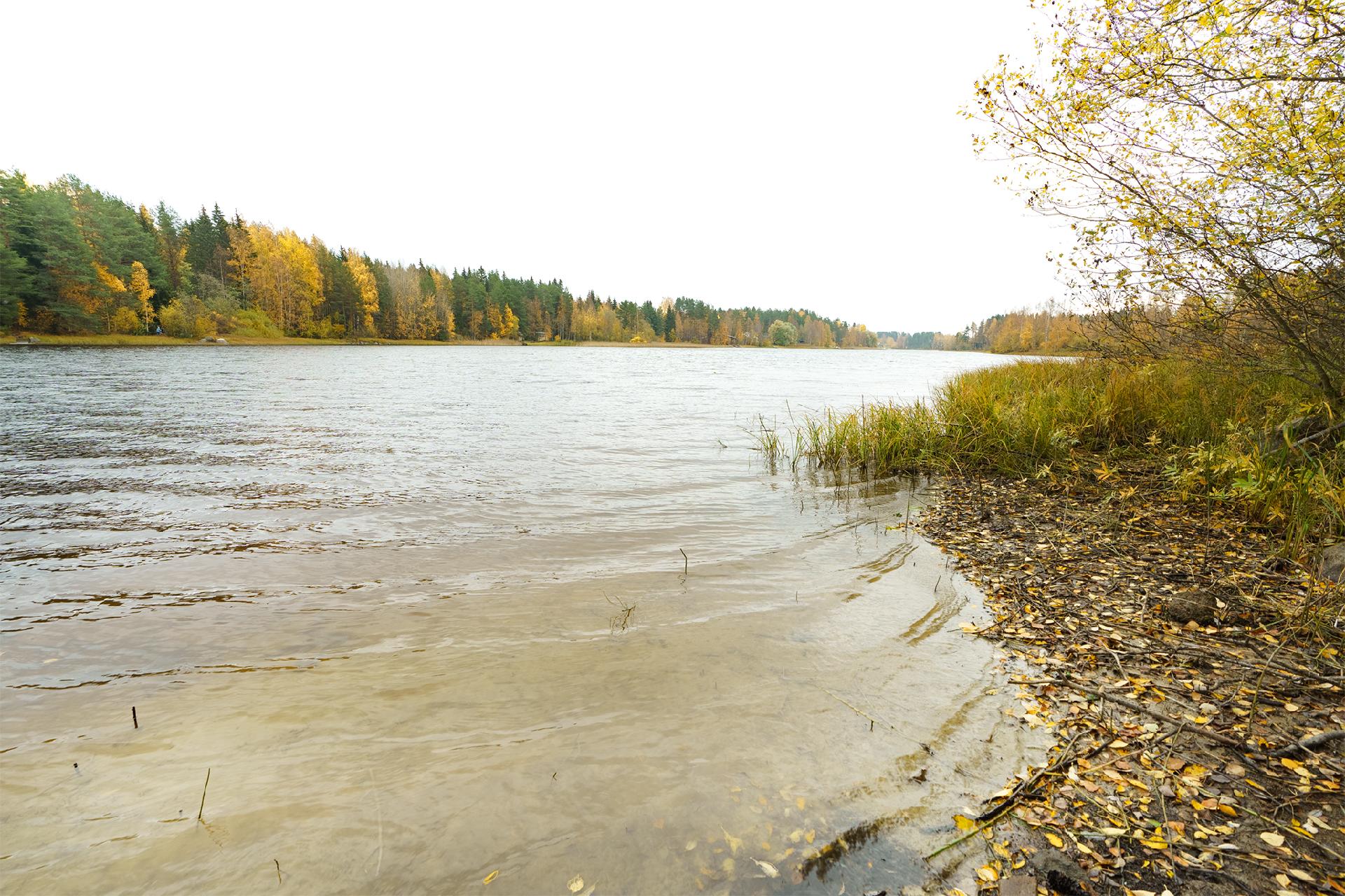 Jarkontie 11, Visuvesi, Ruovesi