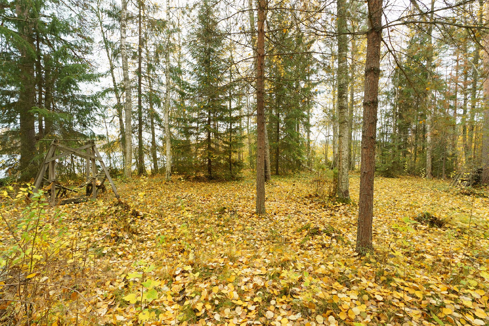 Jarkontie 11, Visuvesi, Ruovesi