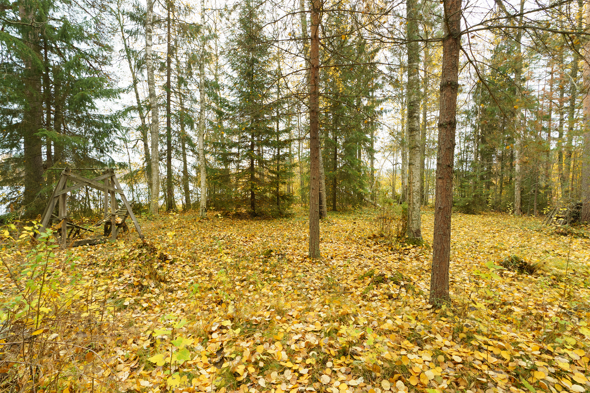 Jarkontie 11, Visuvesi, Ruovesi
