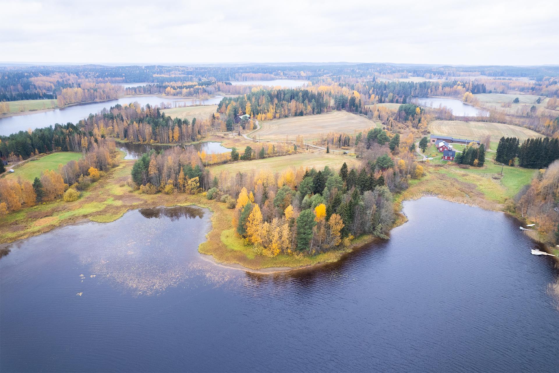 Jarkontie 11, Visuvesi, Ruovesi