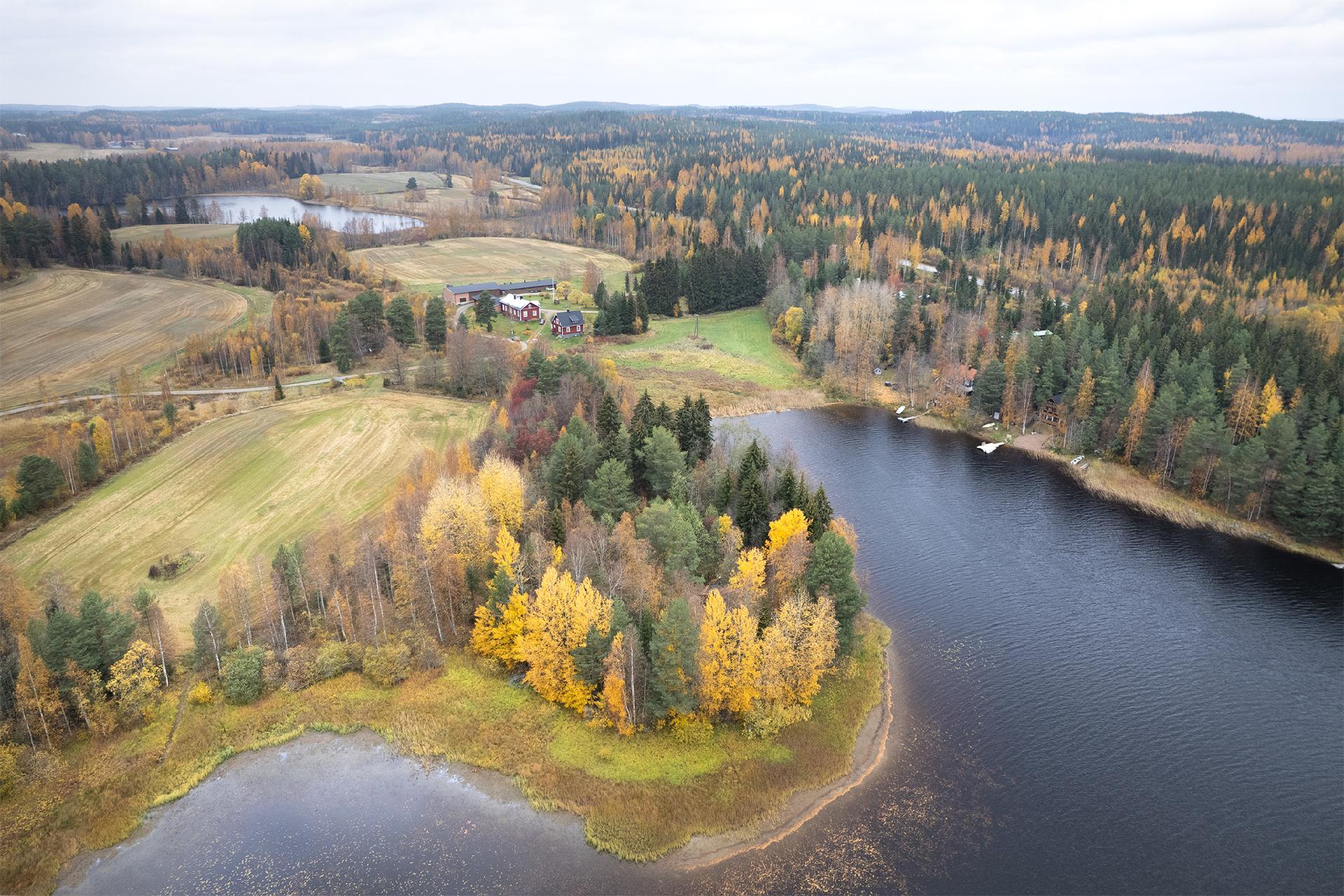 Jarkontie 11, Visuvesi, Ruovesi