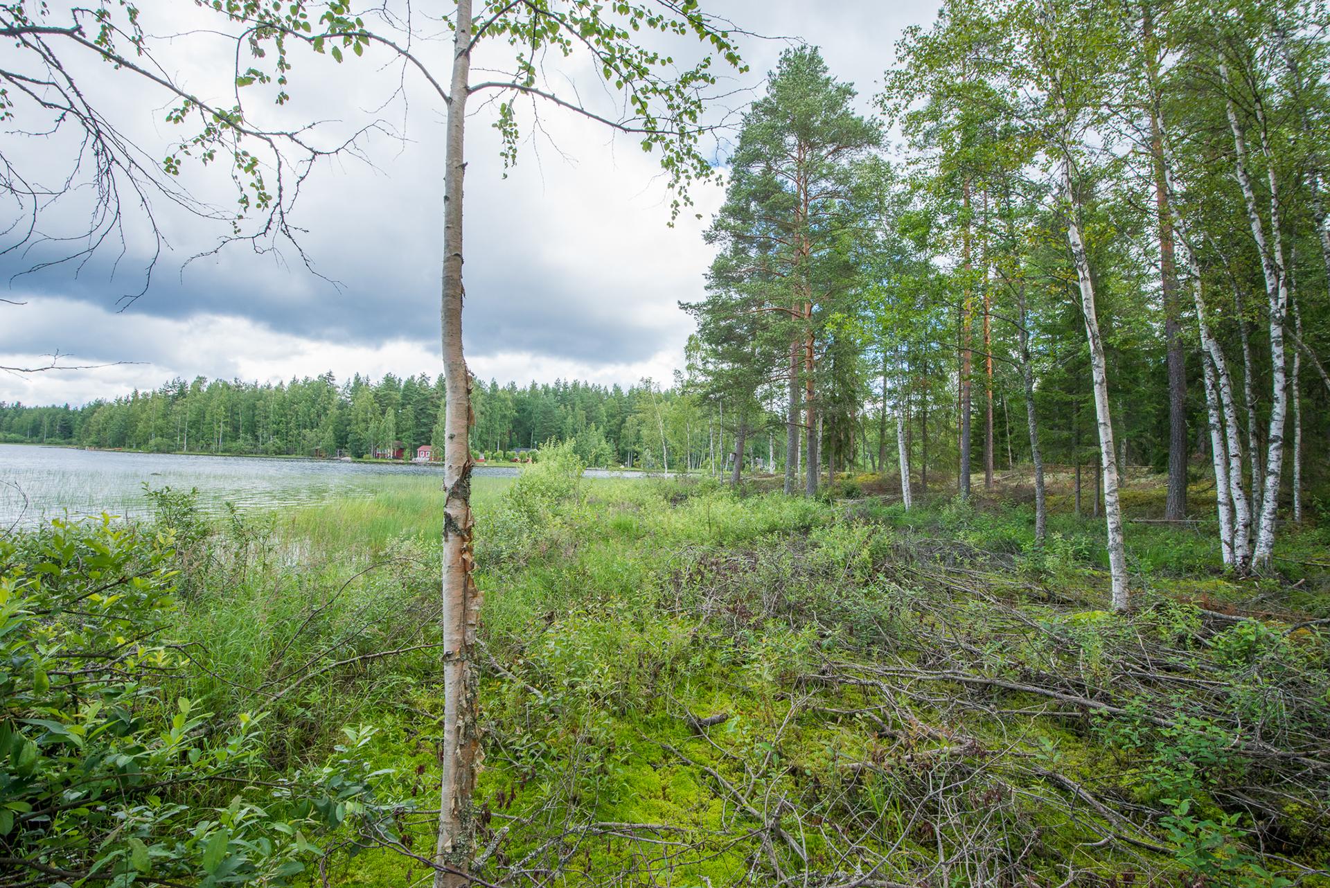 Kivikkosalontie 220, Keuruu, Keuruu