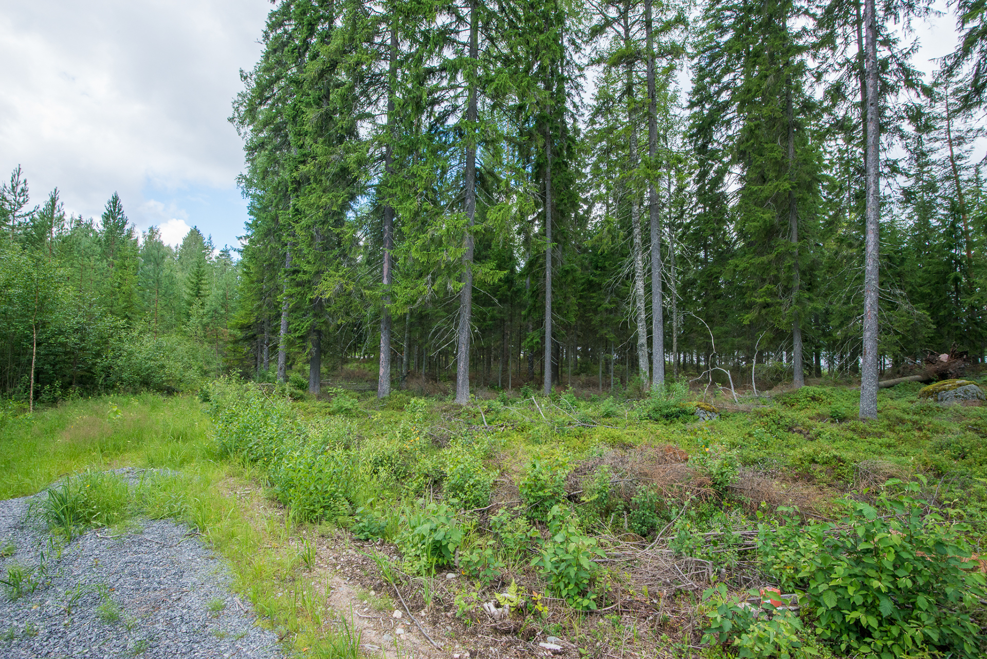 Kivikkosalontie 220, Keuruu, Keuruu