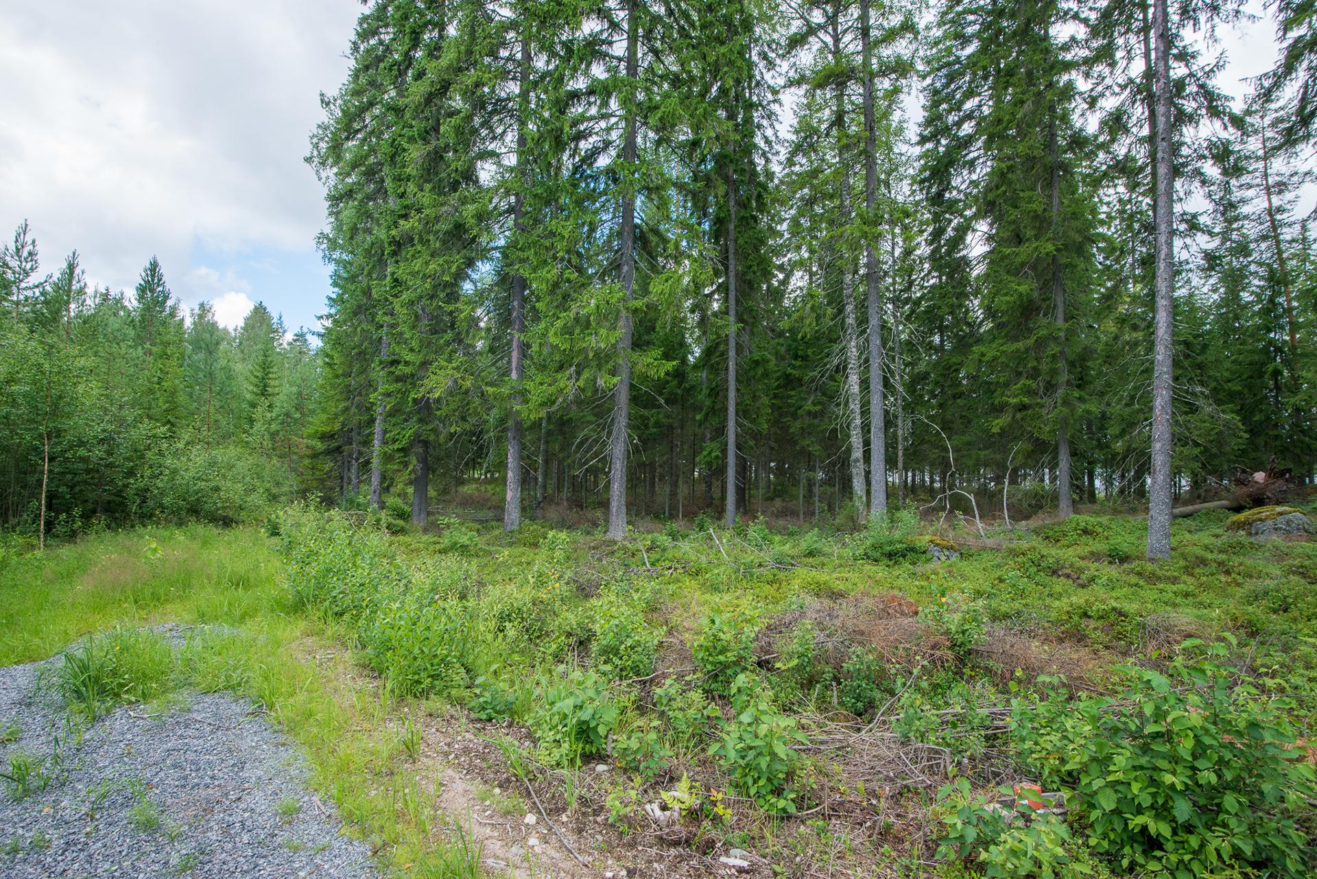 Kivikkosalontie 220, Keuruu, Keuruu