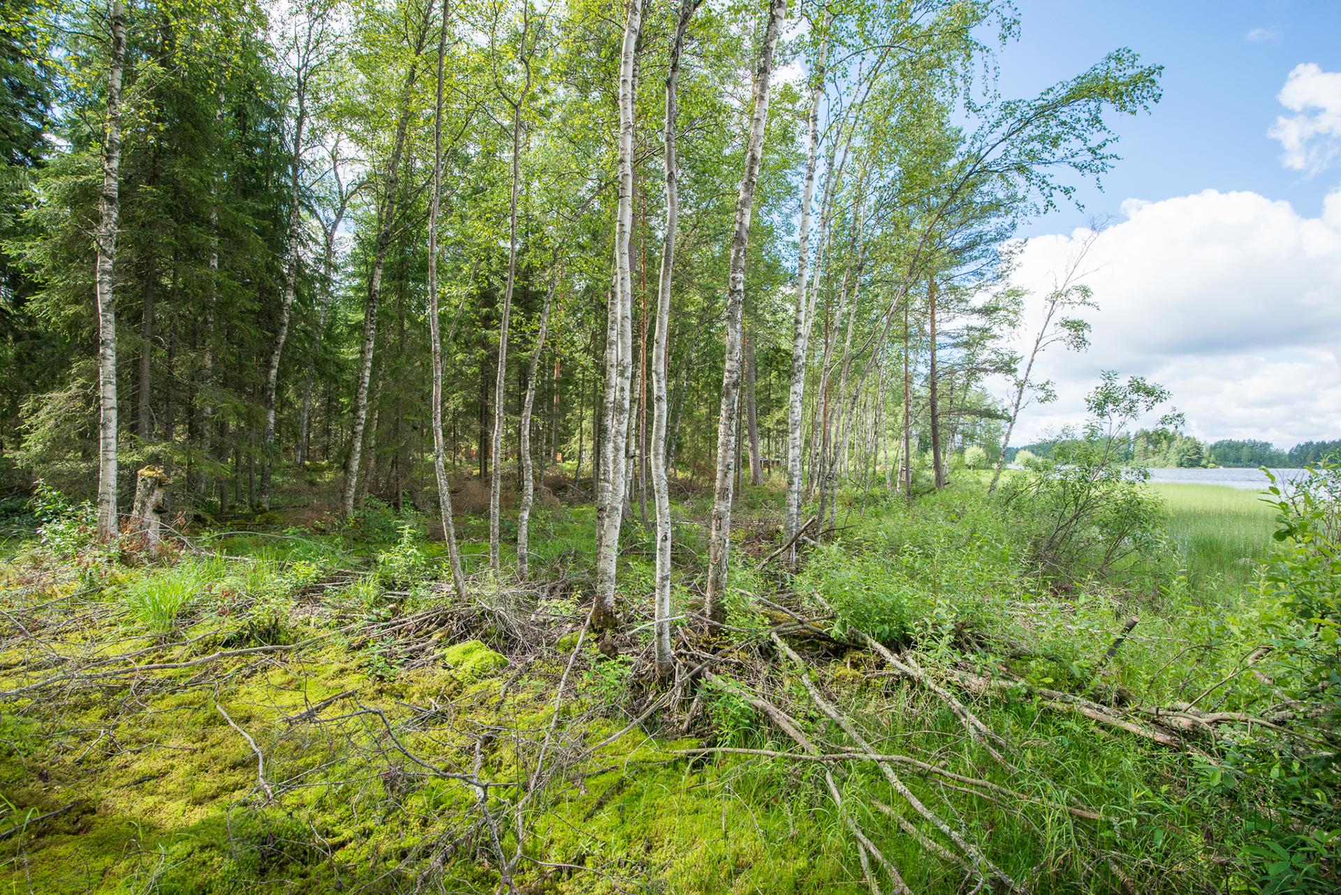 Kivikkosalontie 220, Keuruu, Keuruu