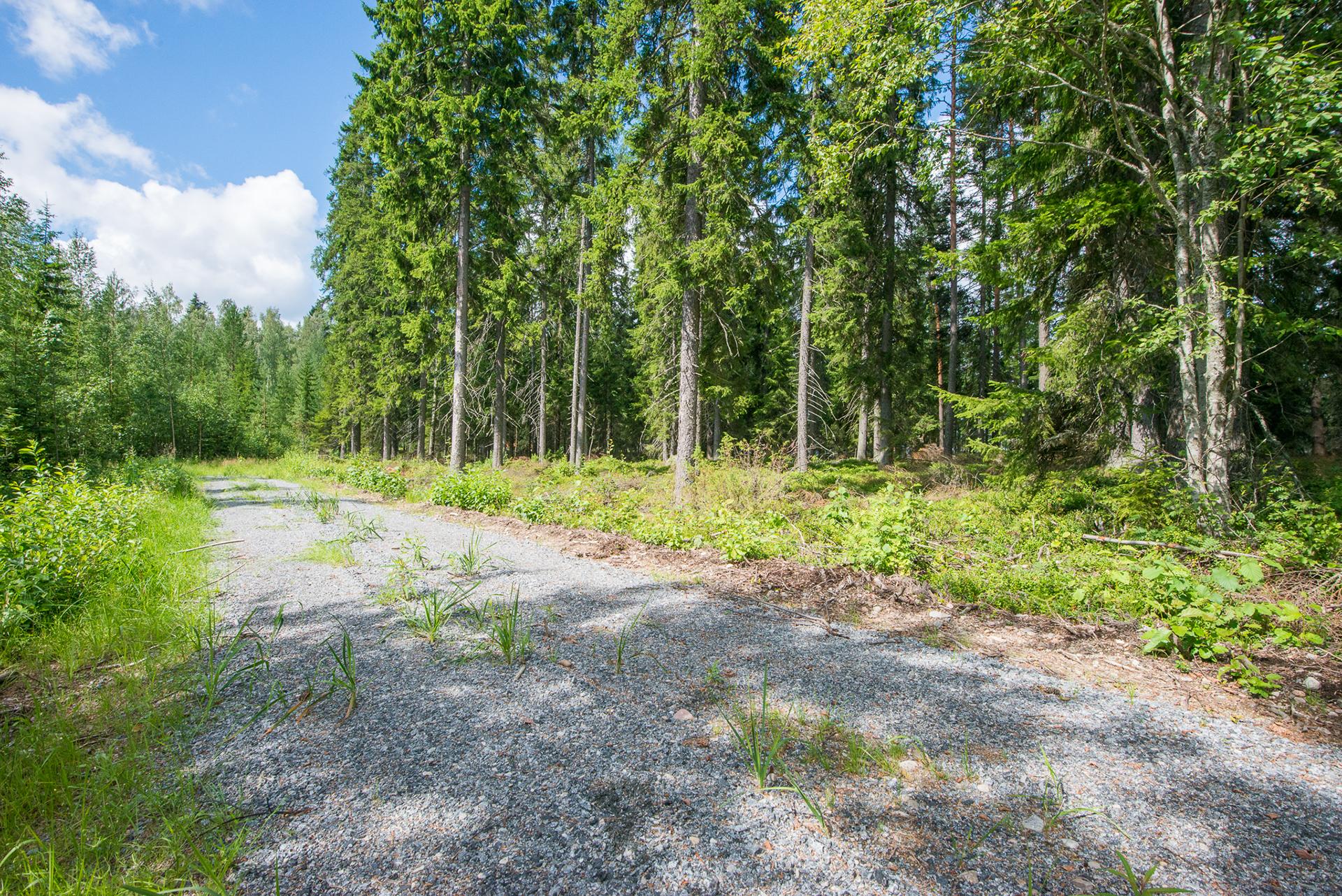 Kivikkosalontie 220, Keuruu, Keuruu