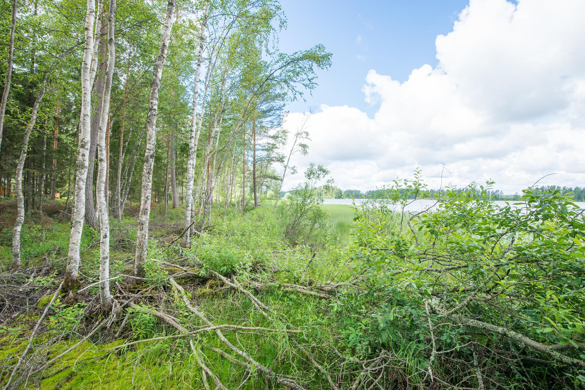 Kivikkosalontie 220, Keuruu, Keuruu