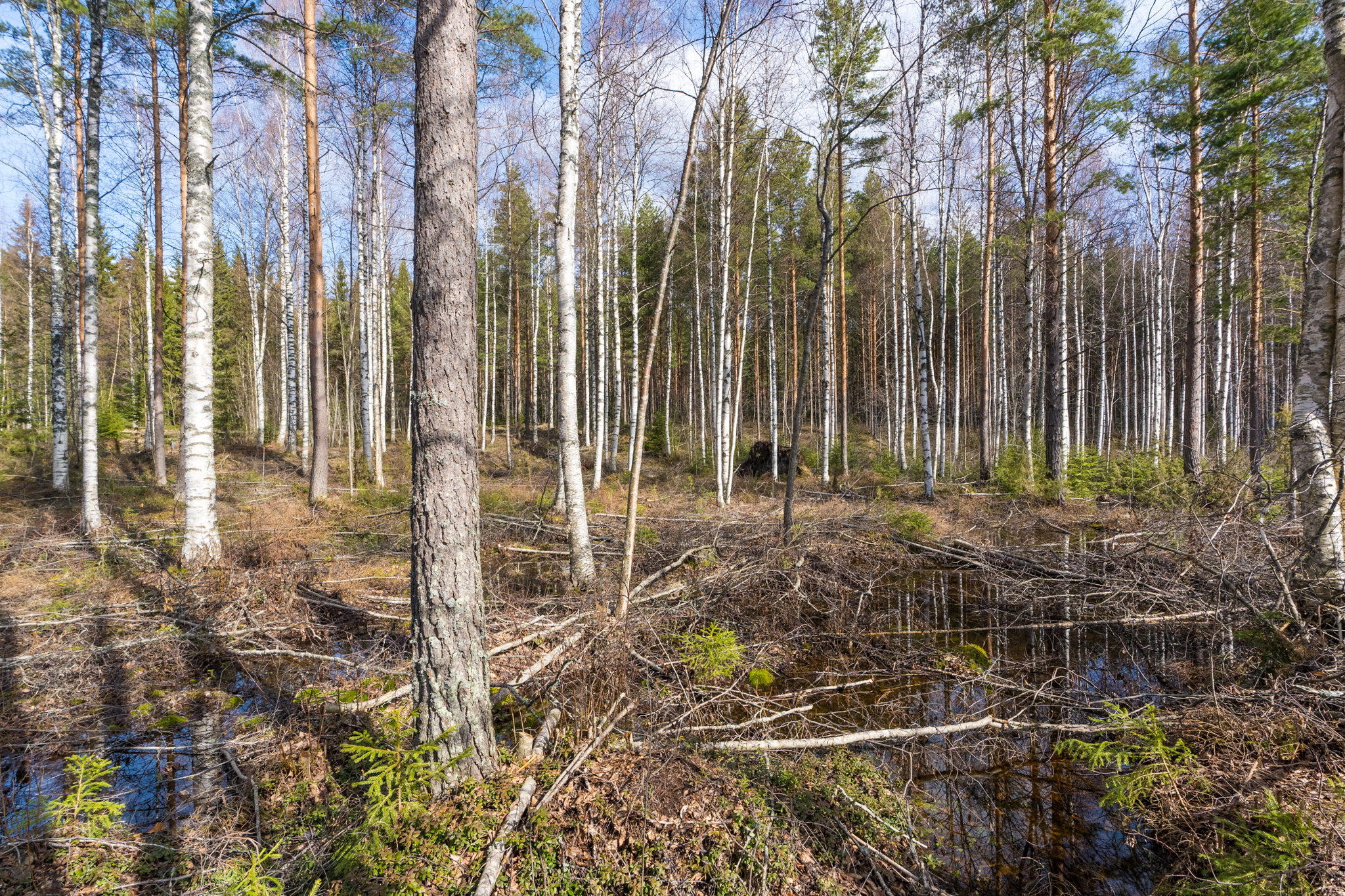 Harmaaniementie 80, Keuruu, Keuruu