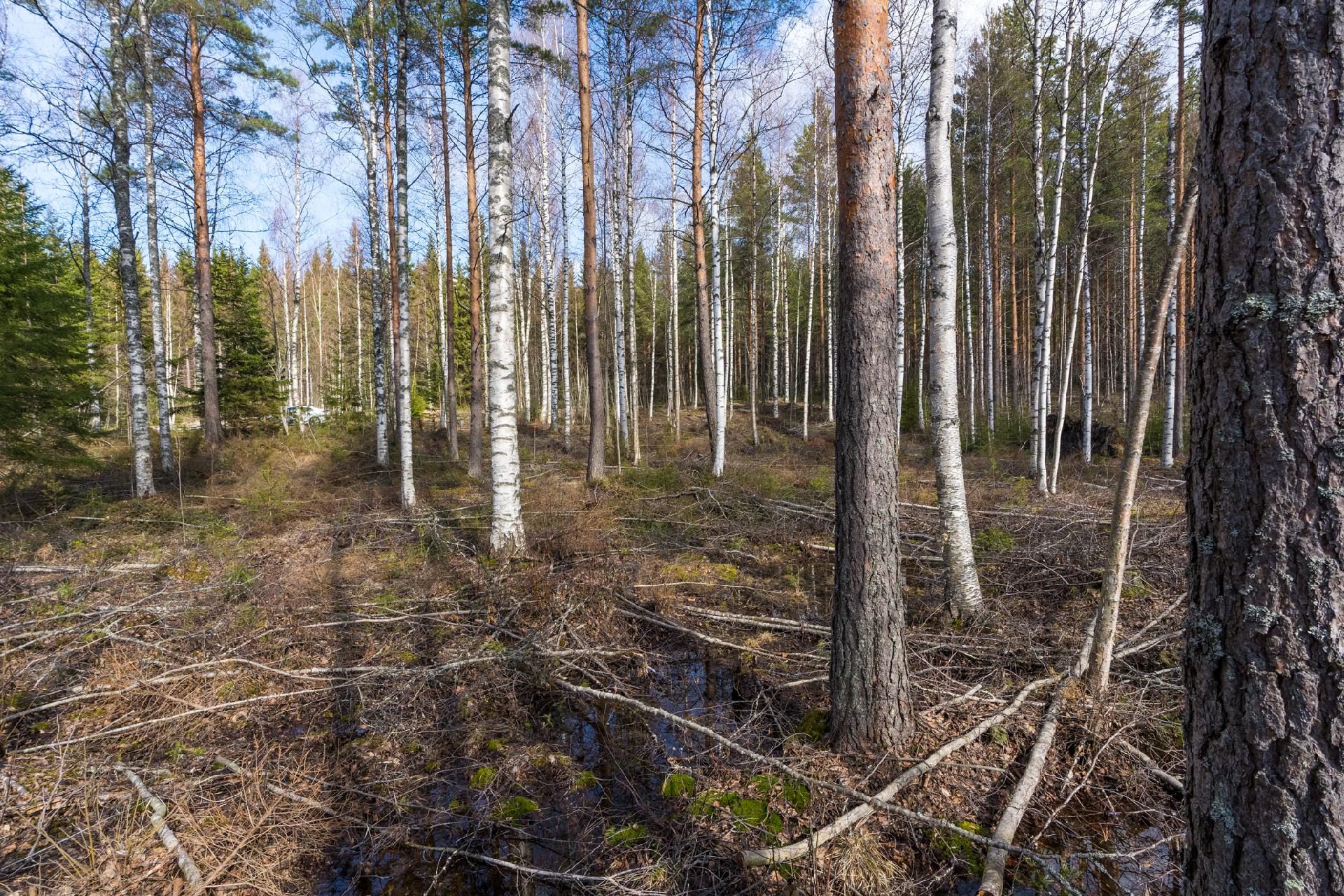 Harmaaniementie 80, Keuruu, Keuruu