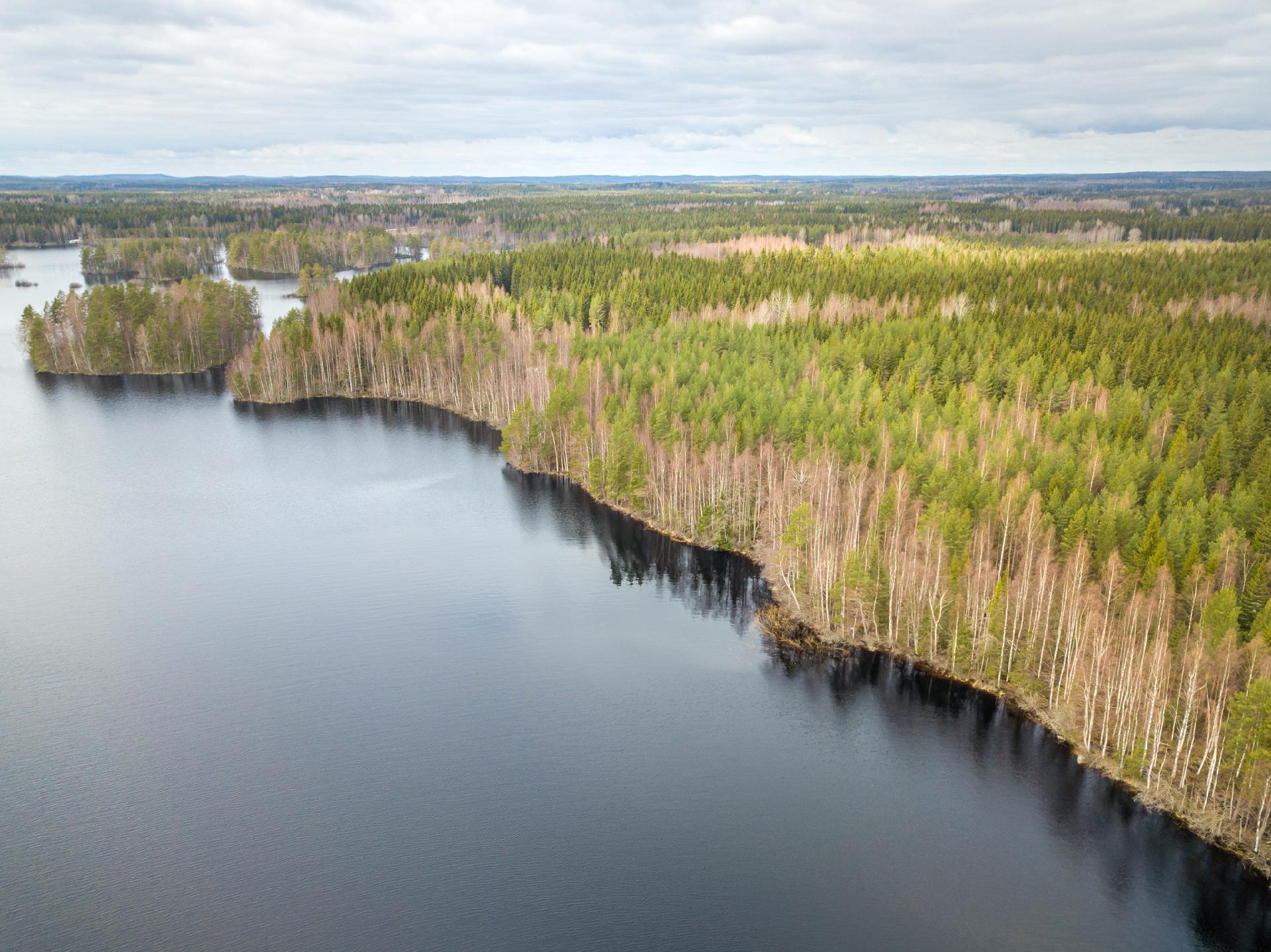 Harmaaniementie 80, Keuruu, Keuruu