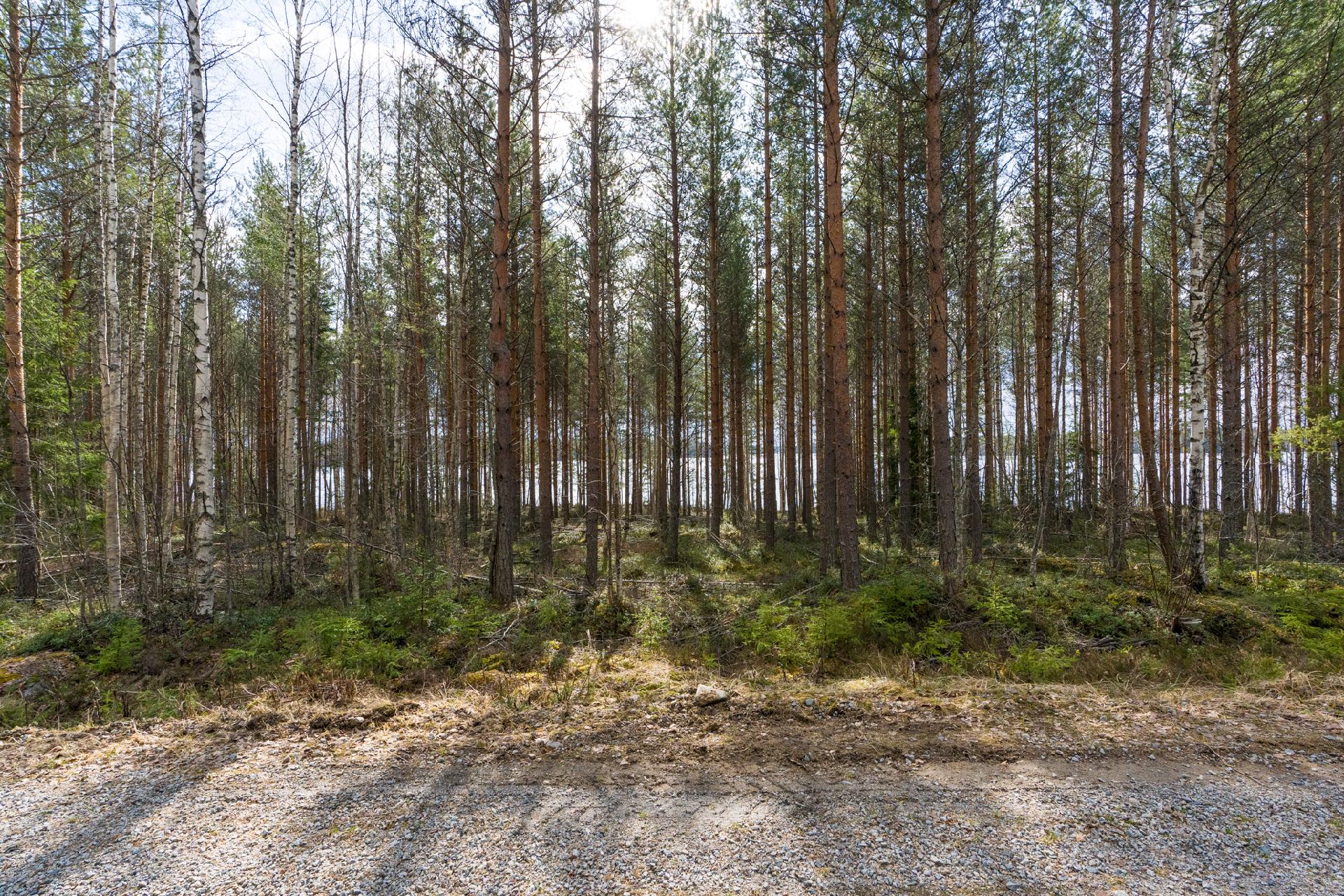 Harmaaniementie 76, Keuruu, Keuruu