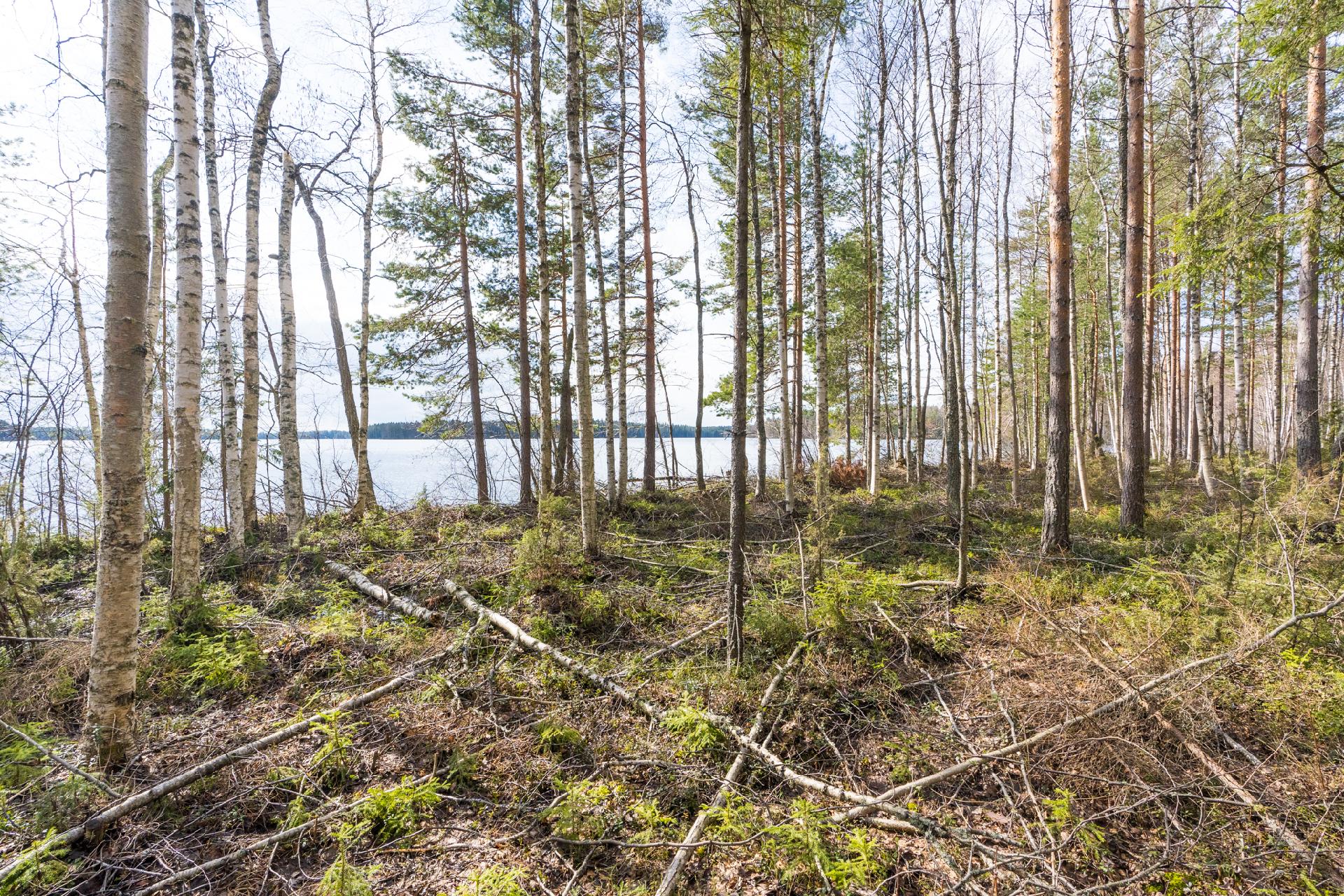 Harmaaniementie 76, Keuruu, Keuruu