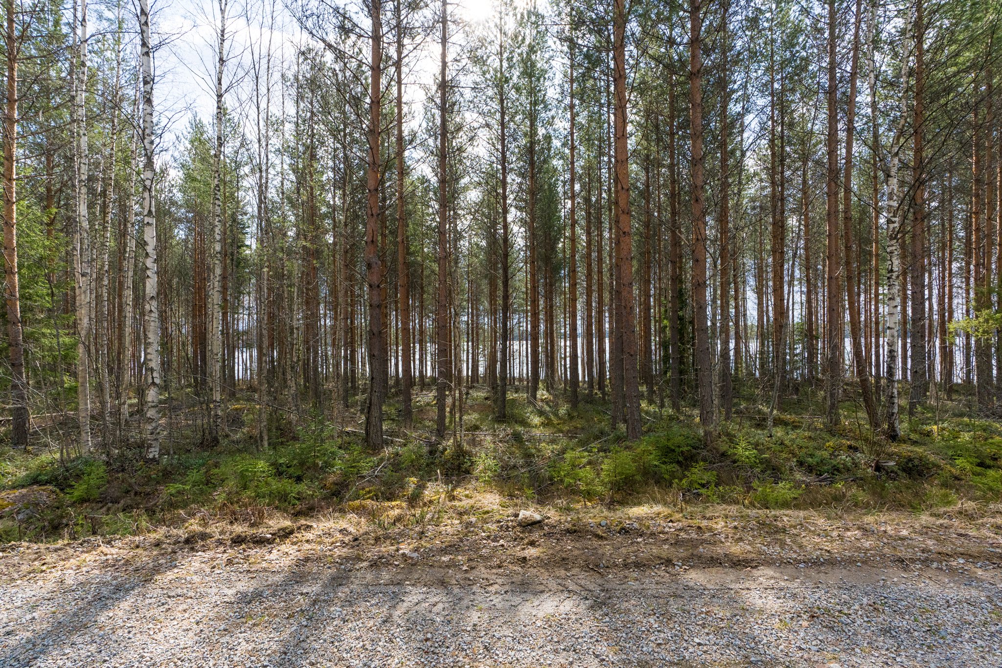 Harmaaniementie 76, Keuruu, Keuruu