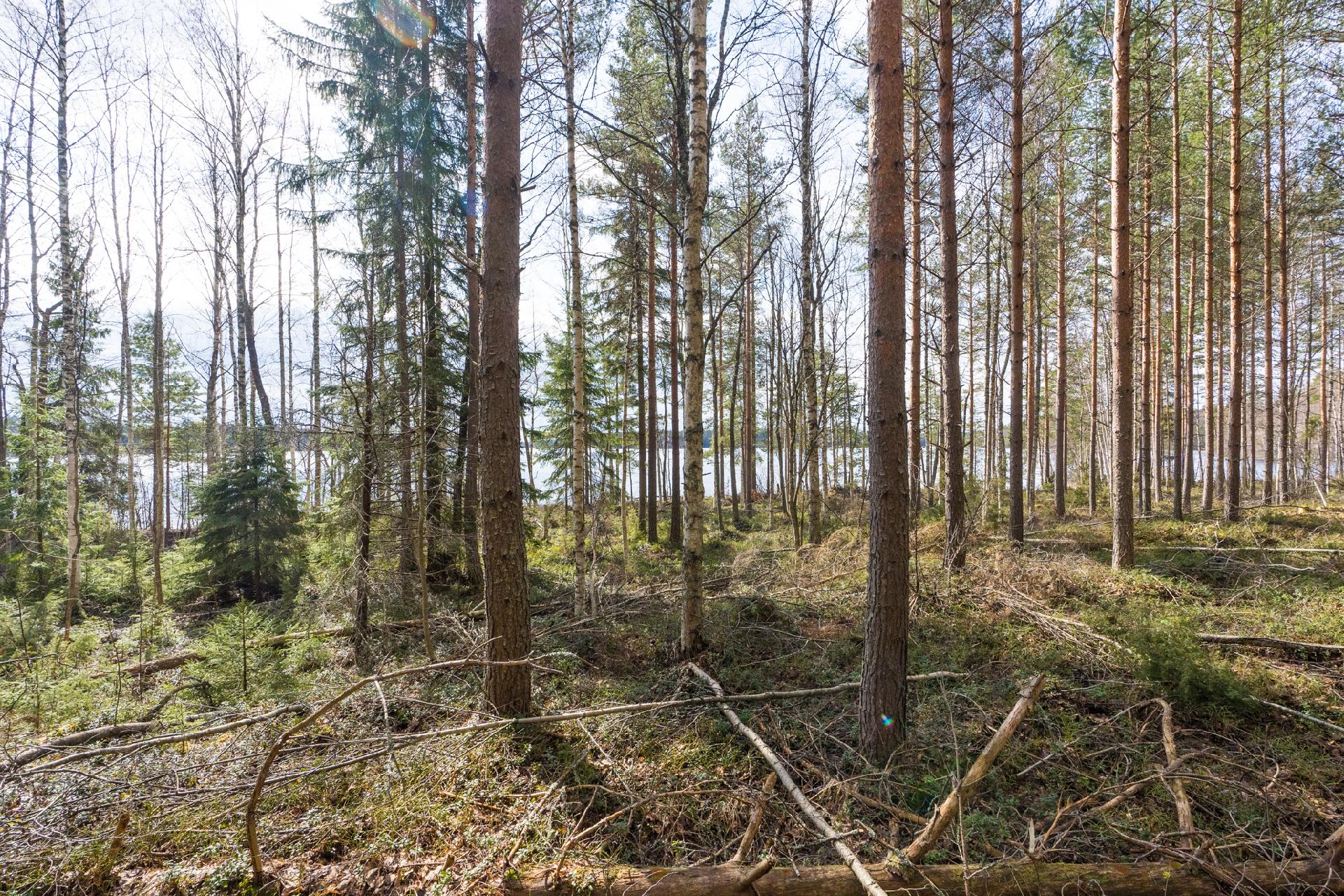 Harmaaniementie 76, Keuruu, Keuruu