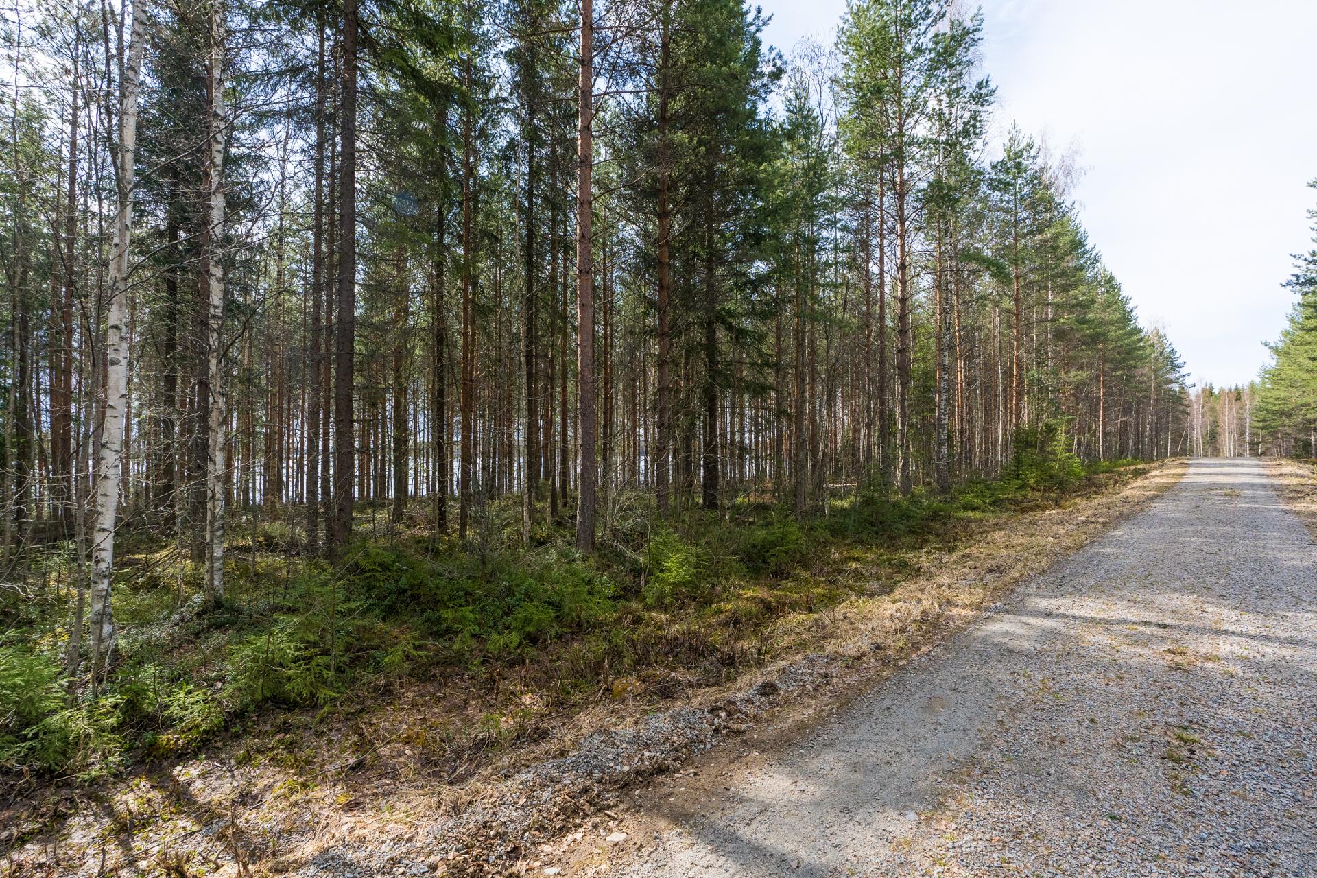 Harmaaniementie 76, Keuruu, Keuruu