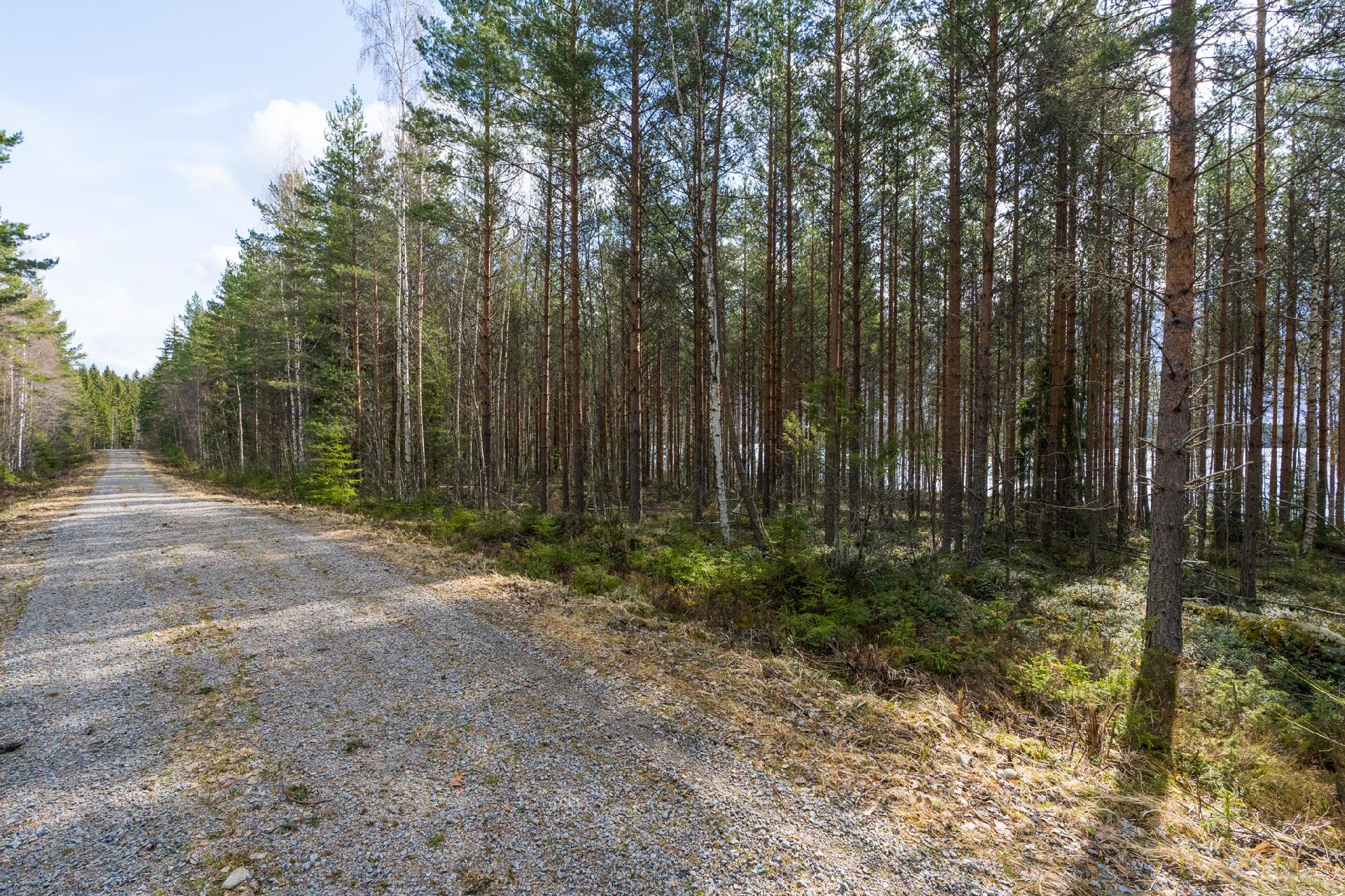 Harmaaniementie 76, Keuruu, Keuruu