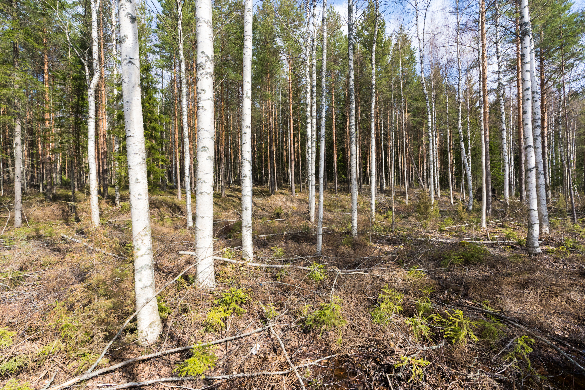 Harmaaniementie 74, Keuruu, Keuruu