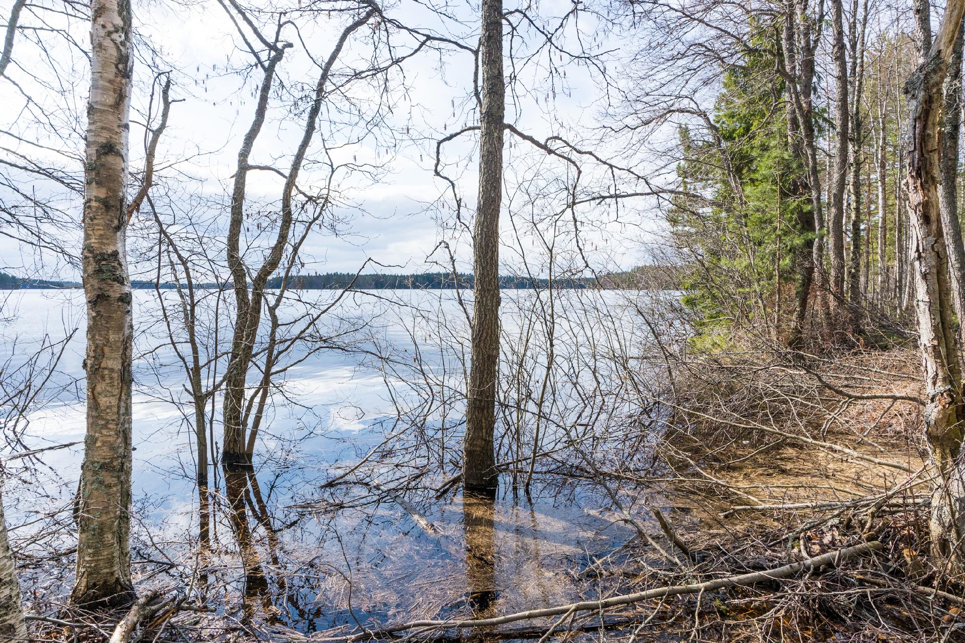 Harmaaniementie 74, Keuruu, Keuruu