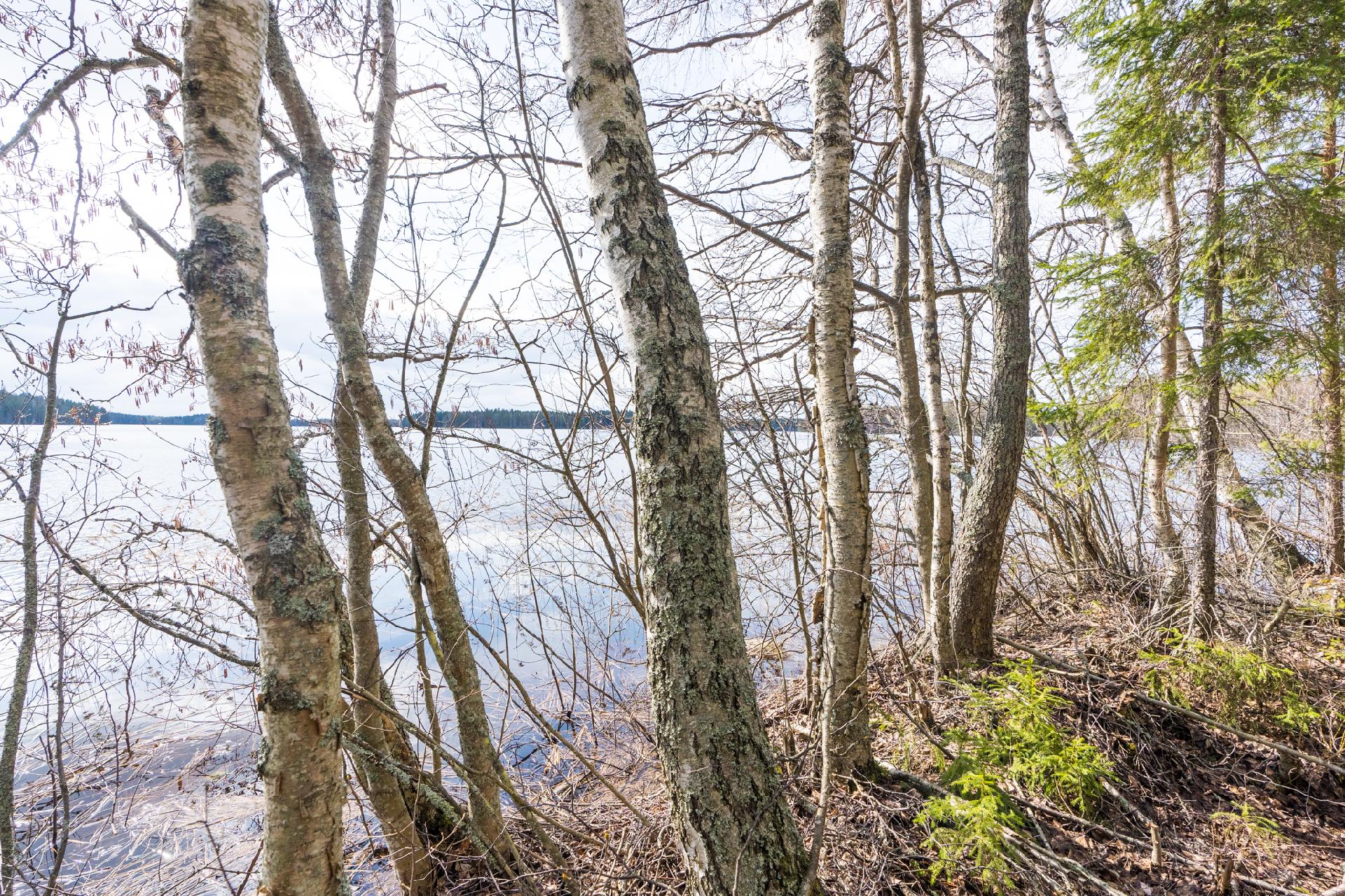 Harmaaniementie 74, Keuruu, Keuruu