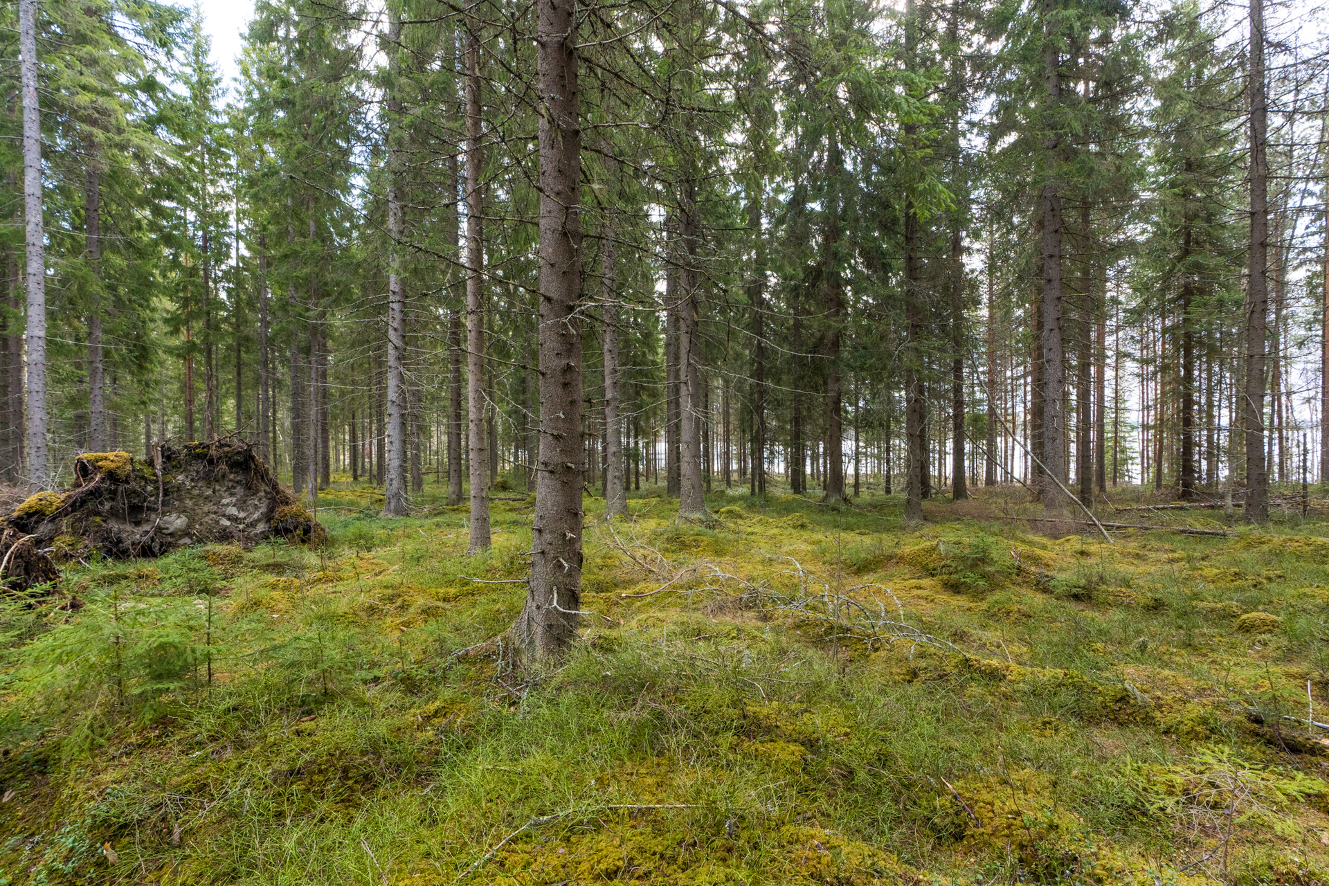 Harmaaniementie 72, Keuruu, Keuruu
