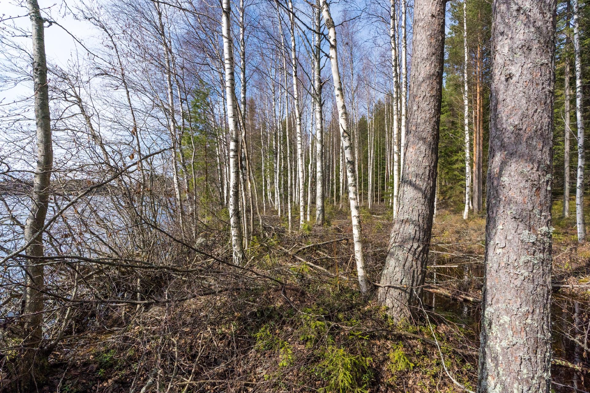 Harmaaniementie 72, Keuruu, Keuruu