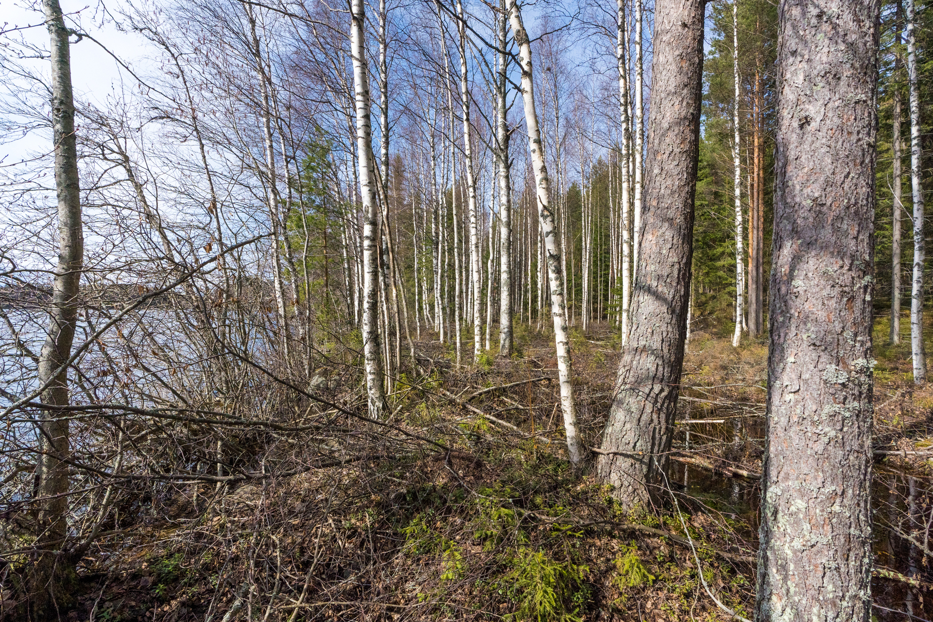 Harmaaniementie 72, Keuruu, Keuruu