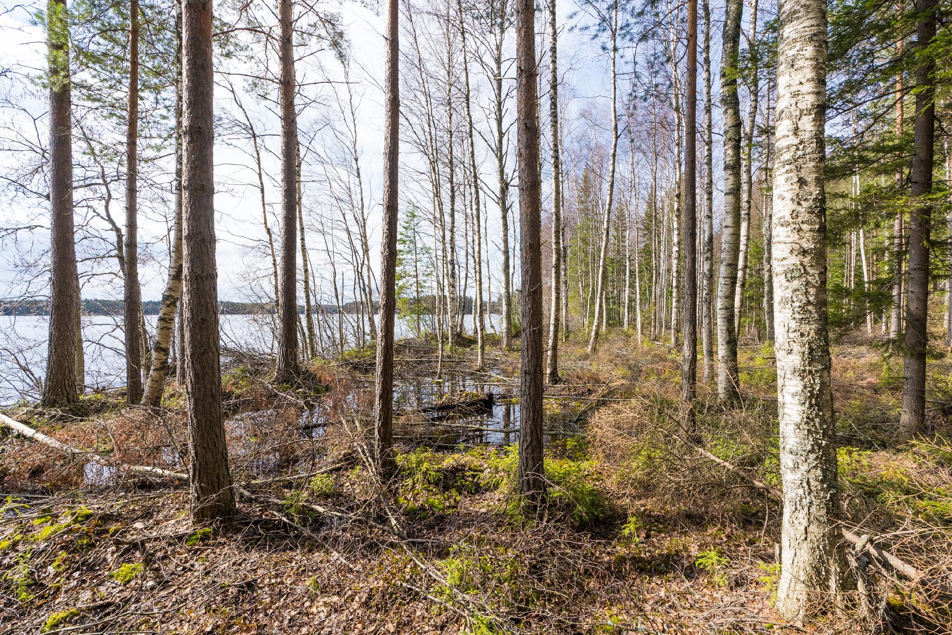 Harmaaniementie 72, Keuruu, Keuruu