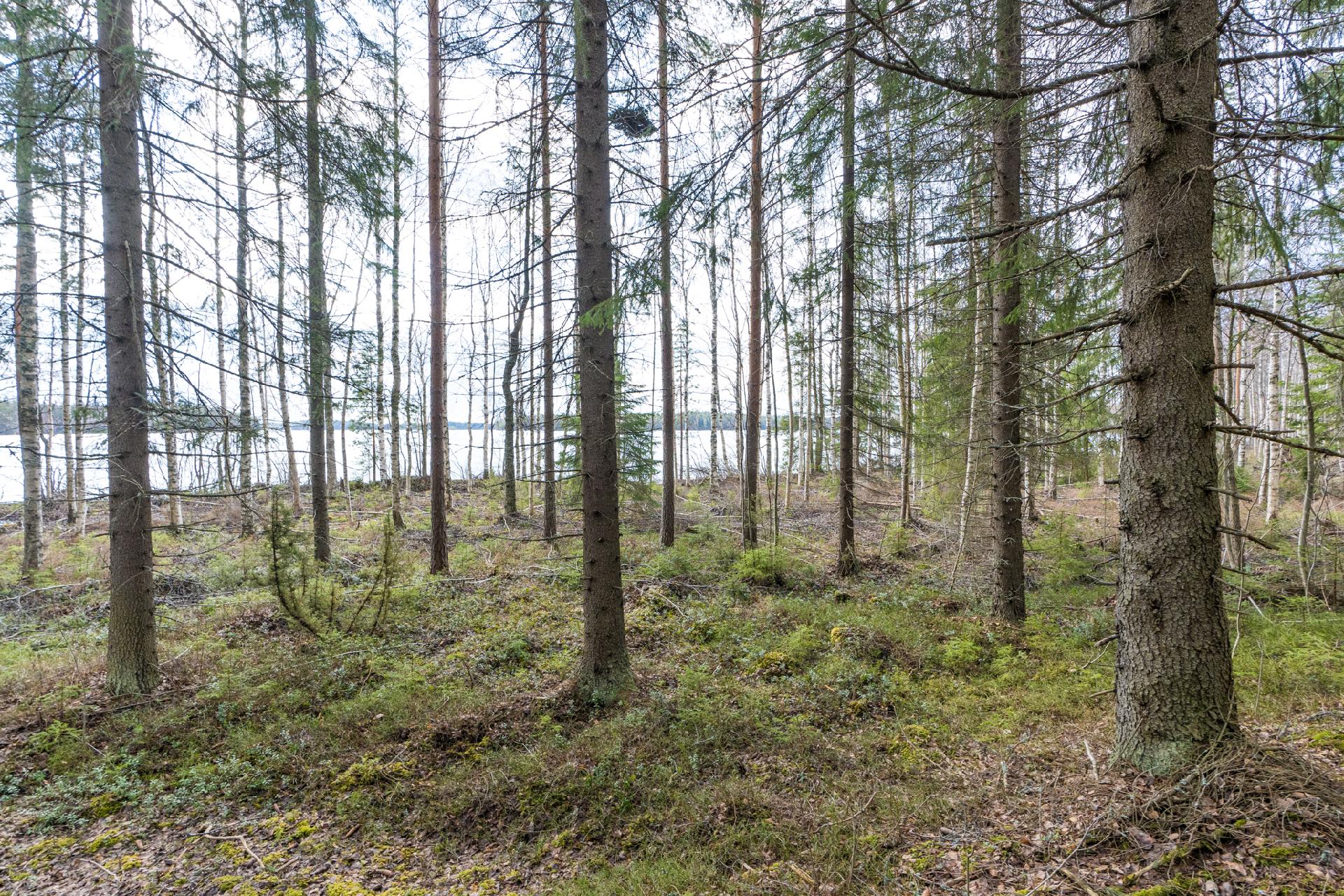 Harmaaniementie 72, Keuruu, Keuruu