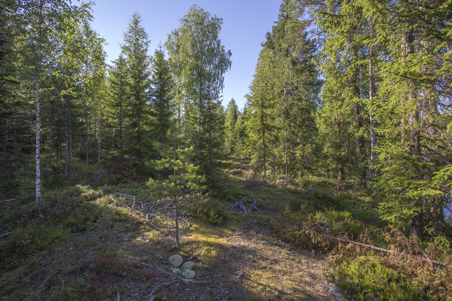 Jakamantie 149, Velaatta, Tampere