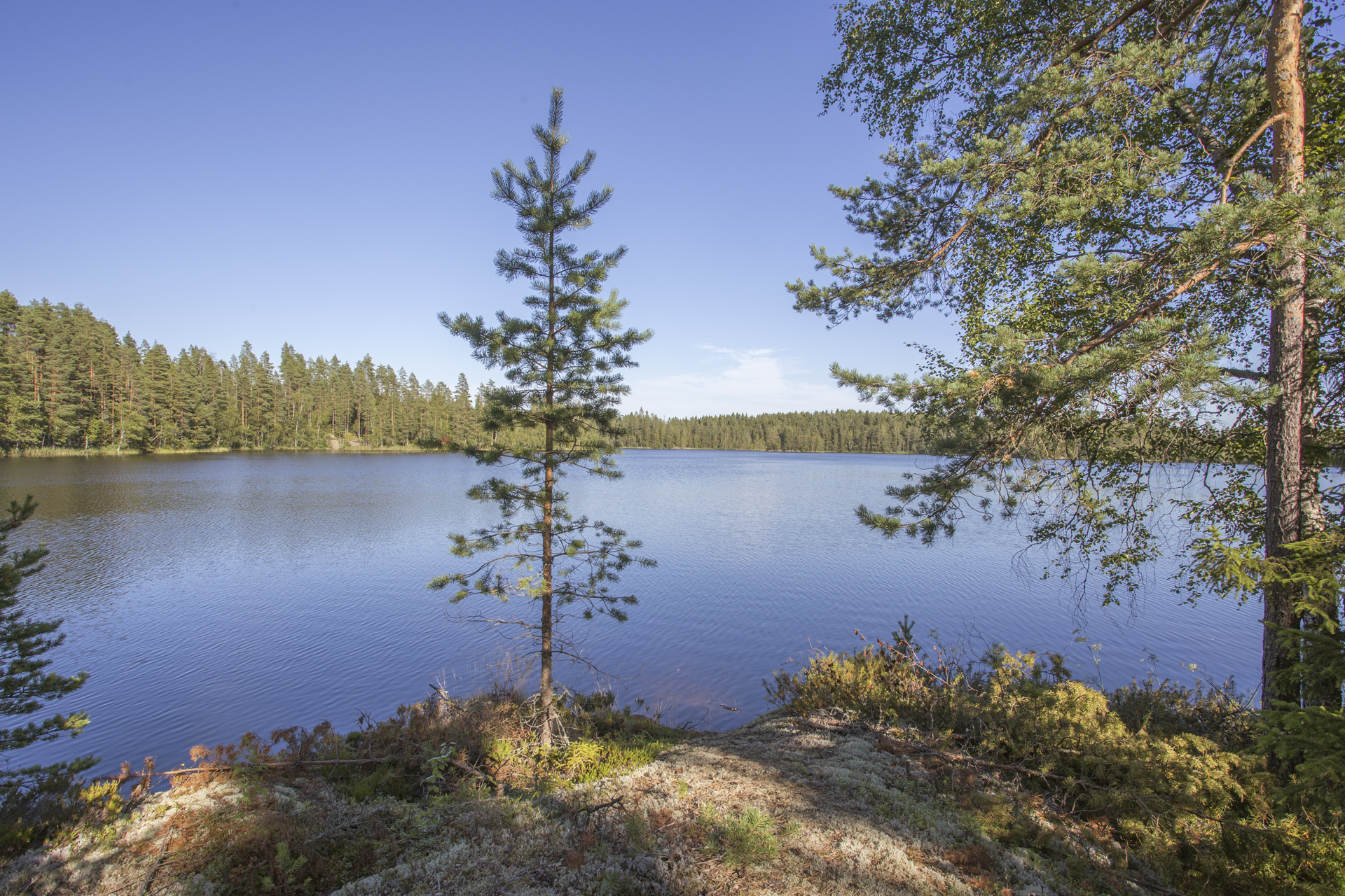 Jakamantie 149, Velaatta, Tampere