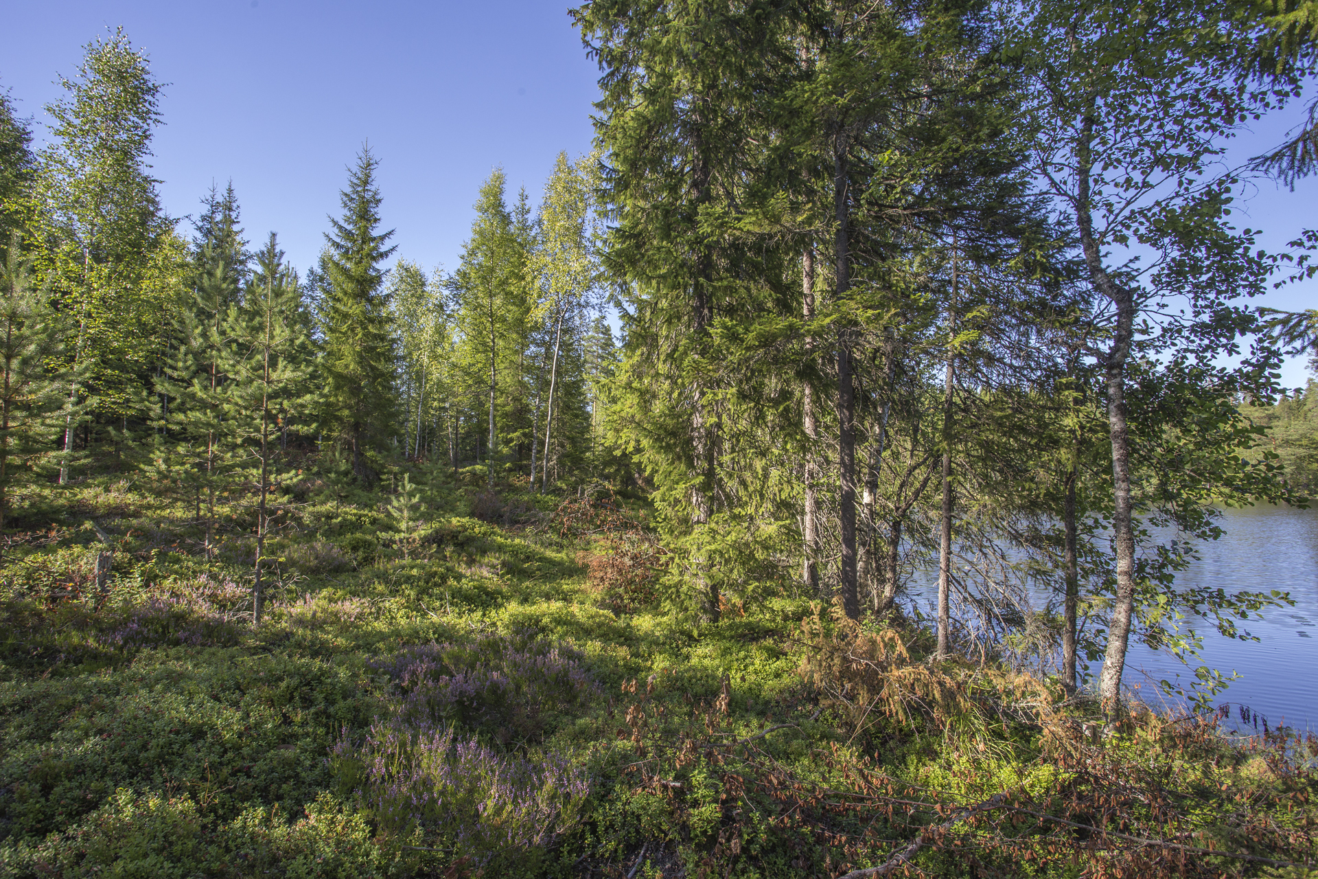 Jakamantie 149, Velaatta, Tampere
