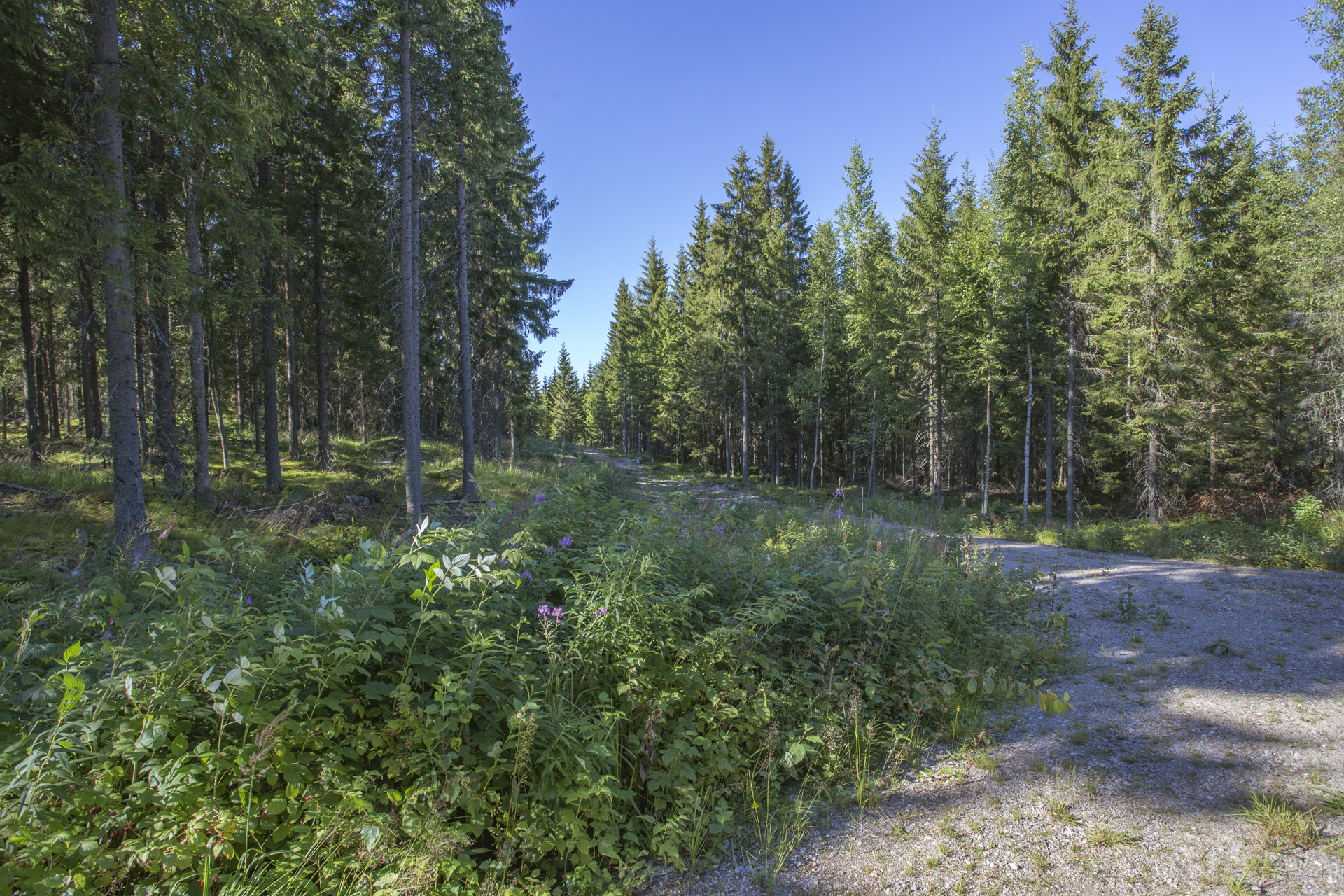 Jakamantie 149, Velaatta, Tampere