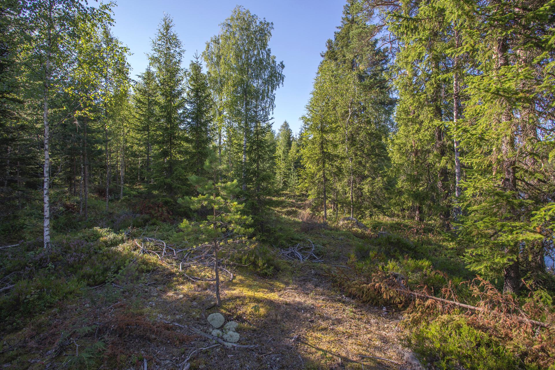 Jakamantie 149, Velaatta, Tampere