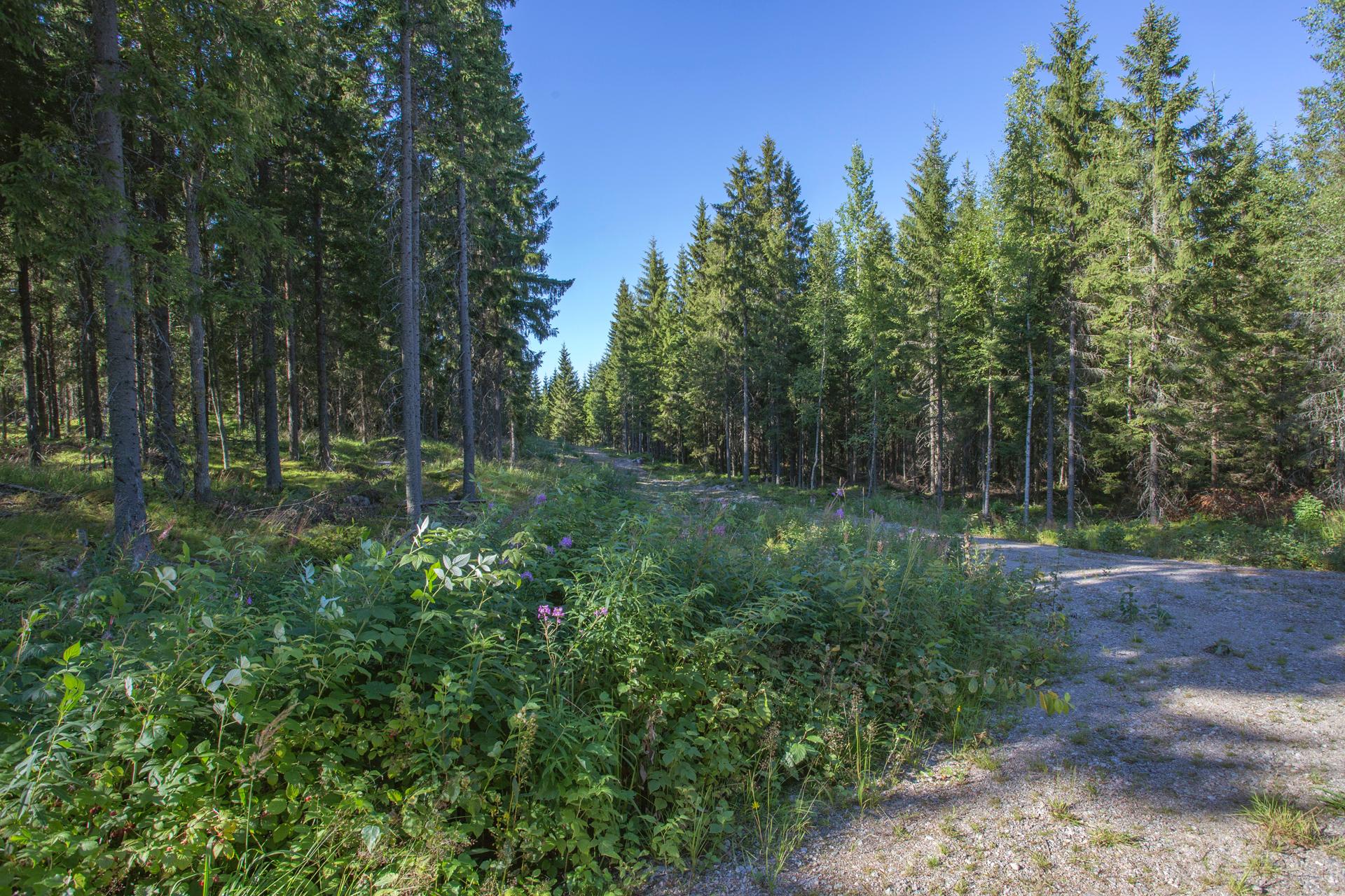 Jakamantie 149, Velaatta, Tampere