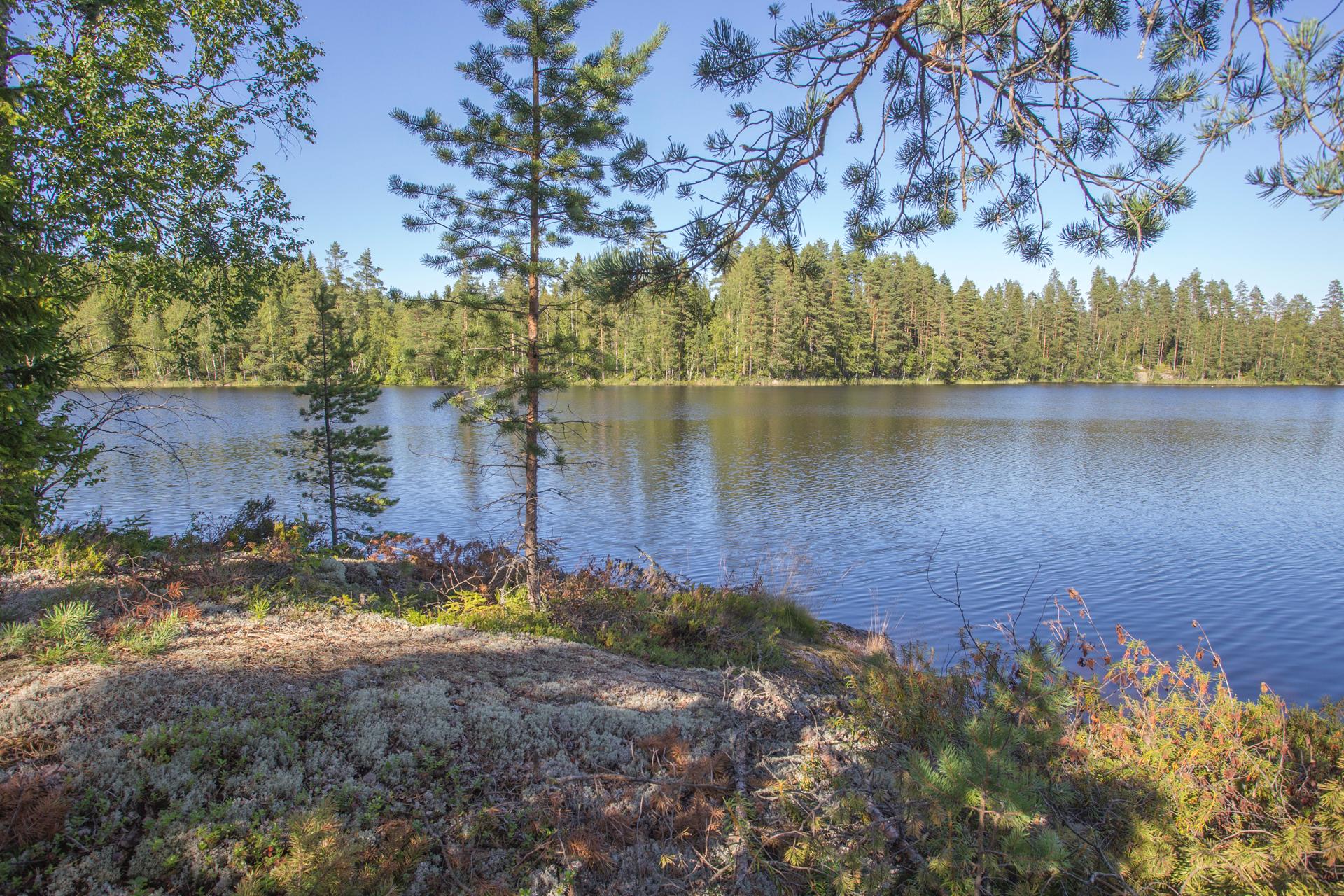 Jakamantie 149, Velaatta, Tampere