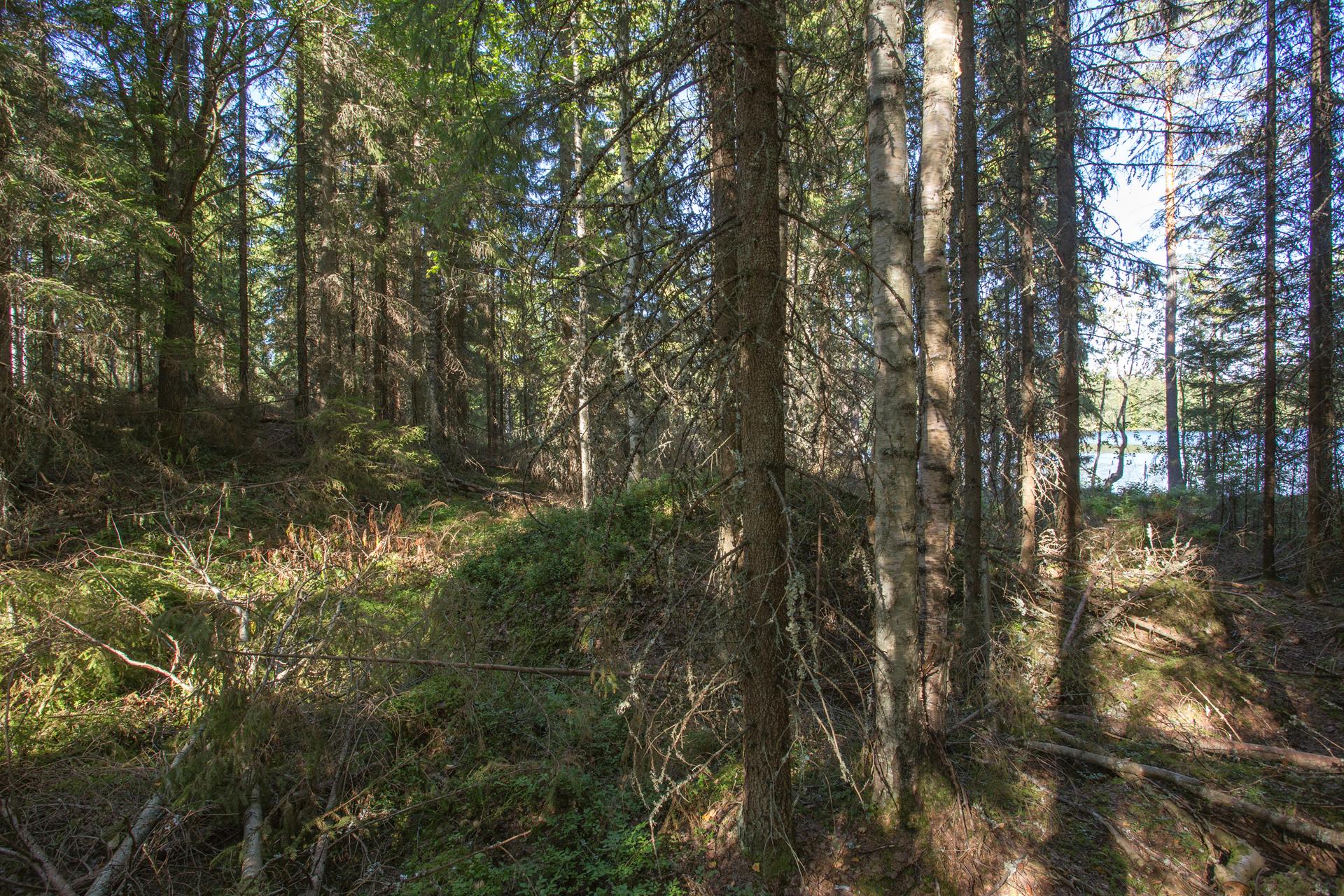 Jakamantie 149, Velaatta, Tampere