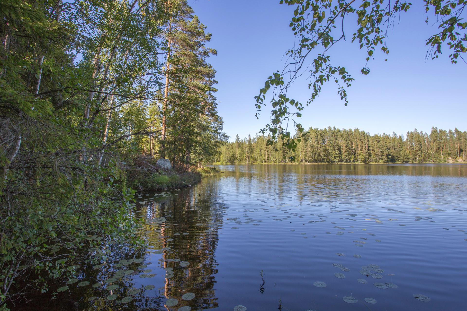 Jakamantie 149, Velaatta, Tampere