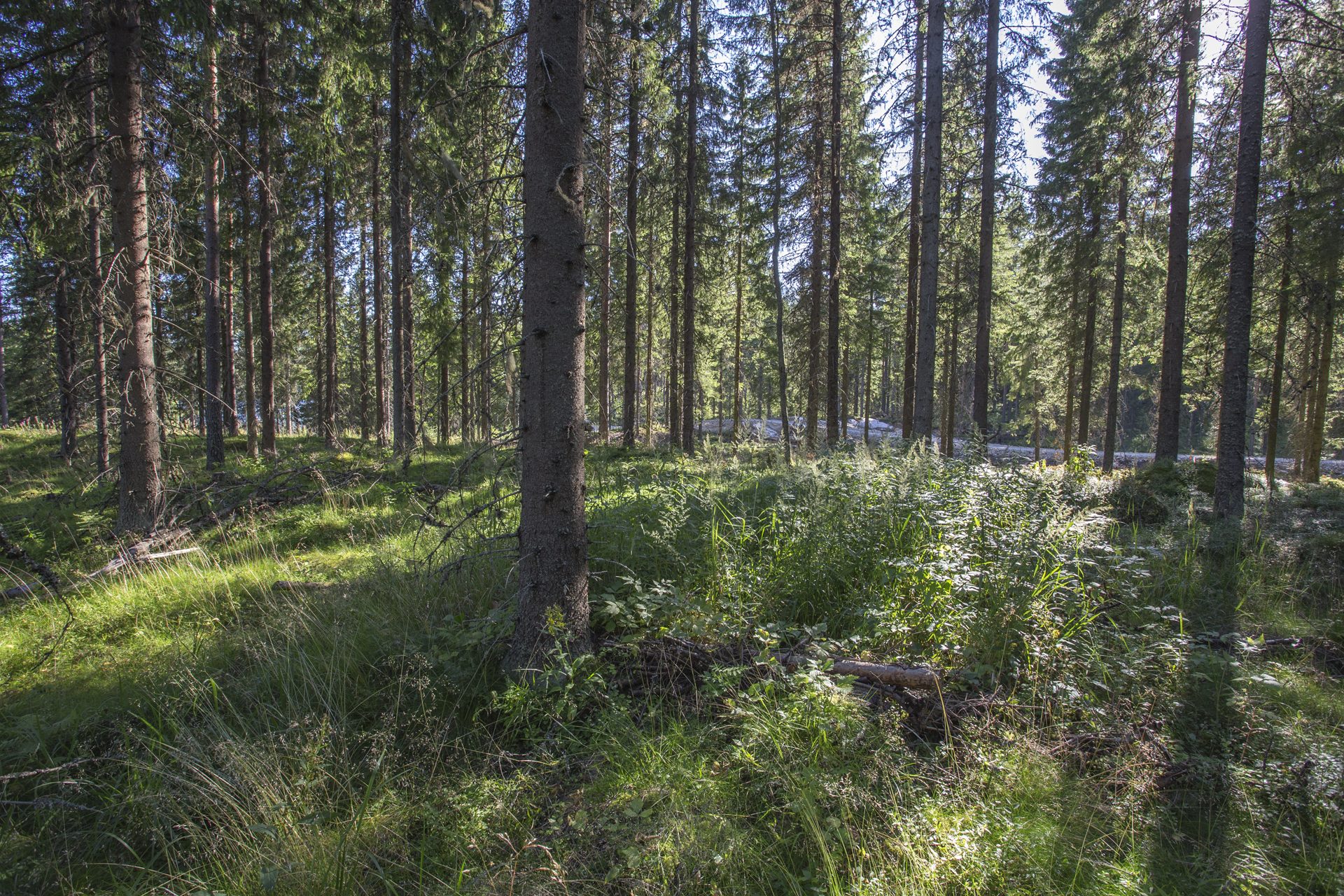 Jakamantie 149, Velaatta, Tampere