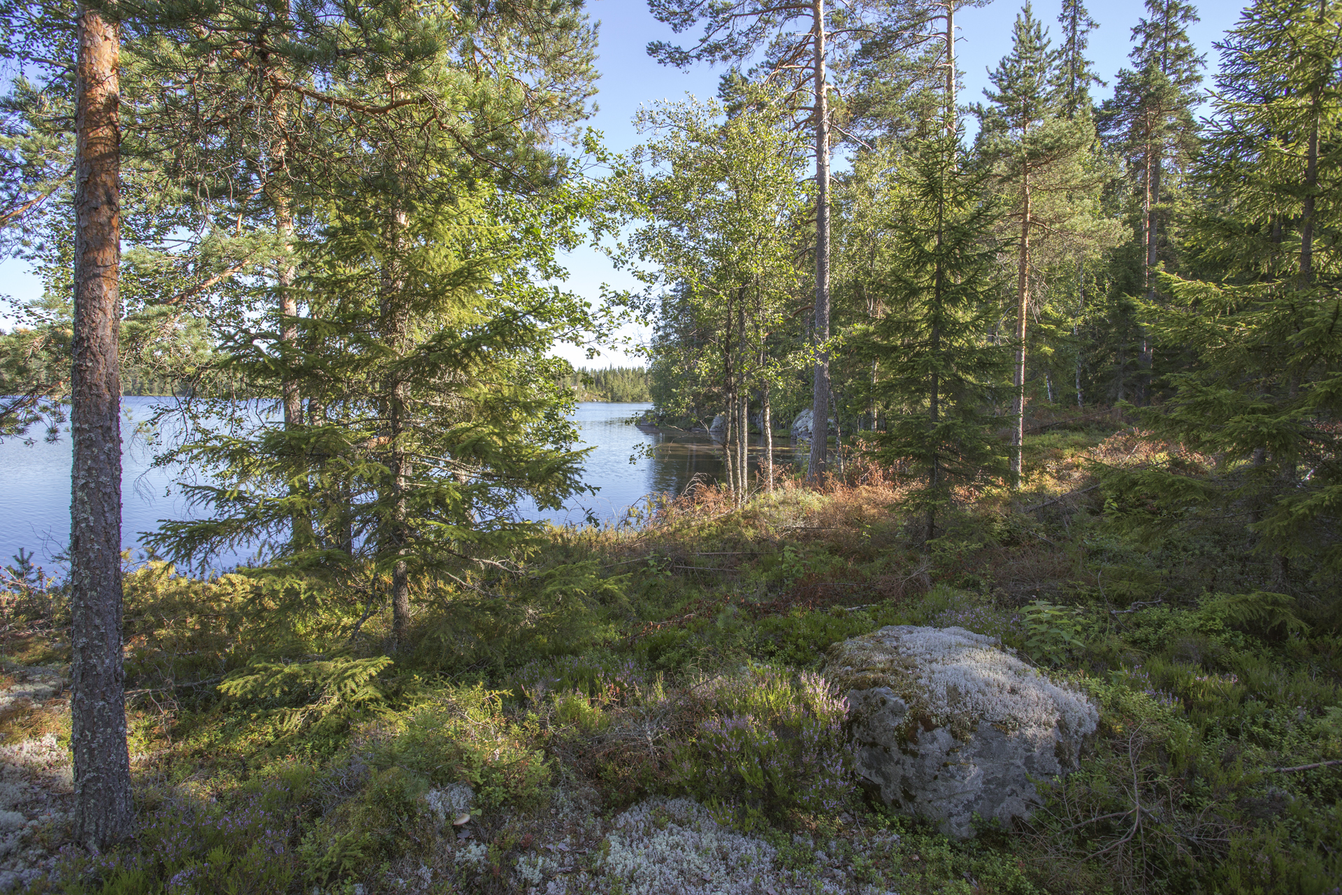 Jakamantie 149, Velaatta, Tampere