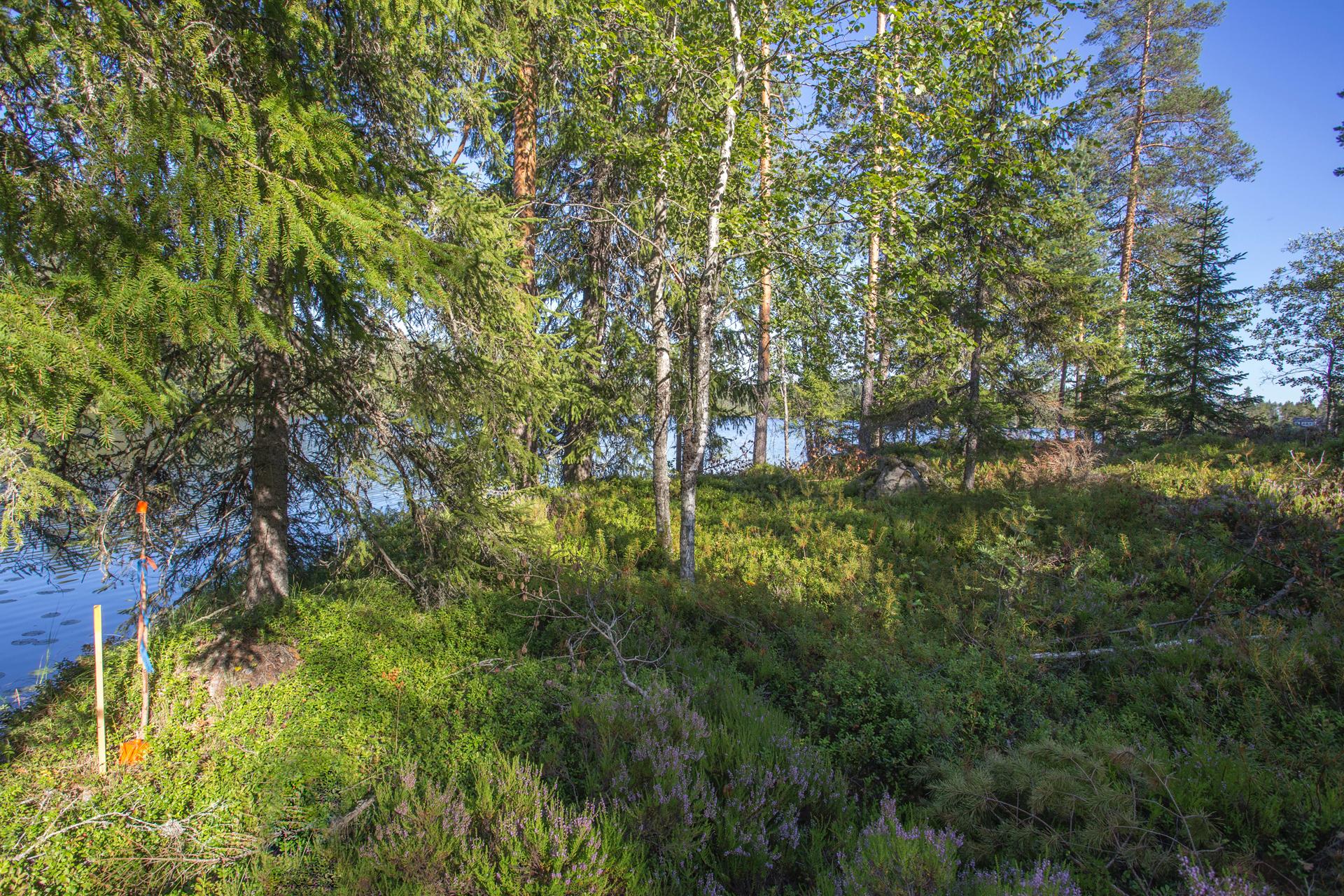 Jakamantie 149, Velaatta, Tampere