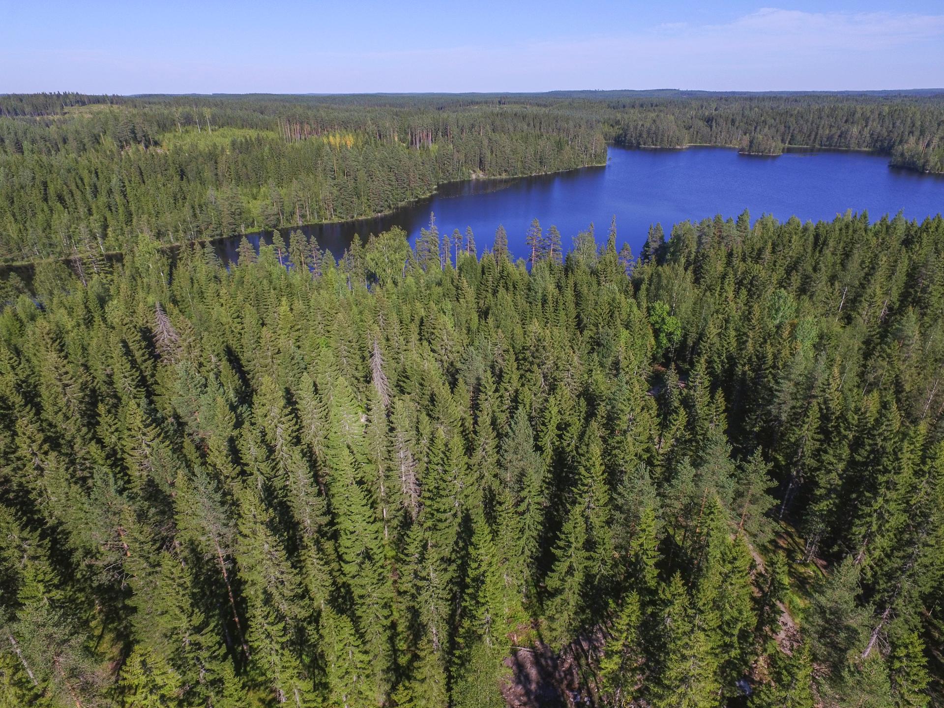 Jakamantie 149, Velaatta, Tampere