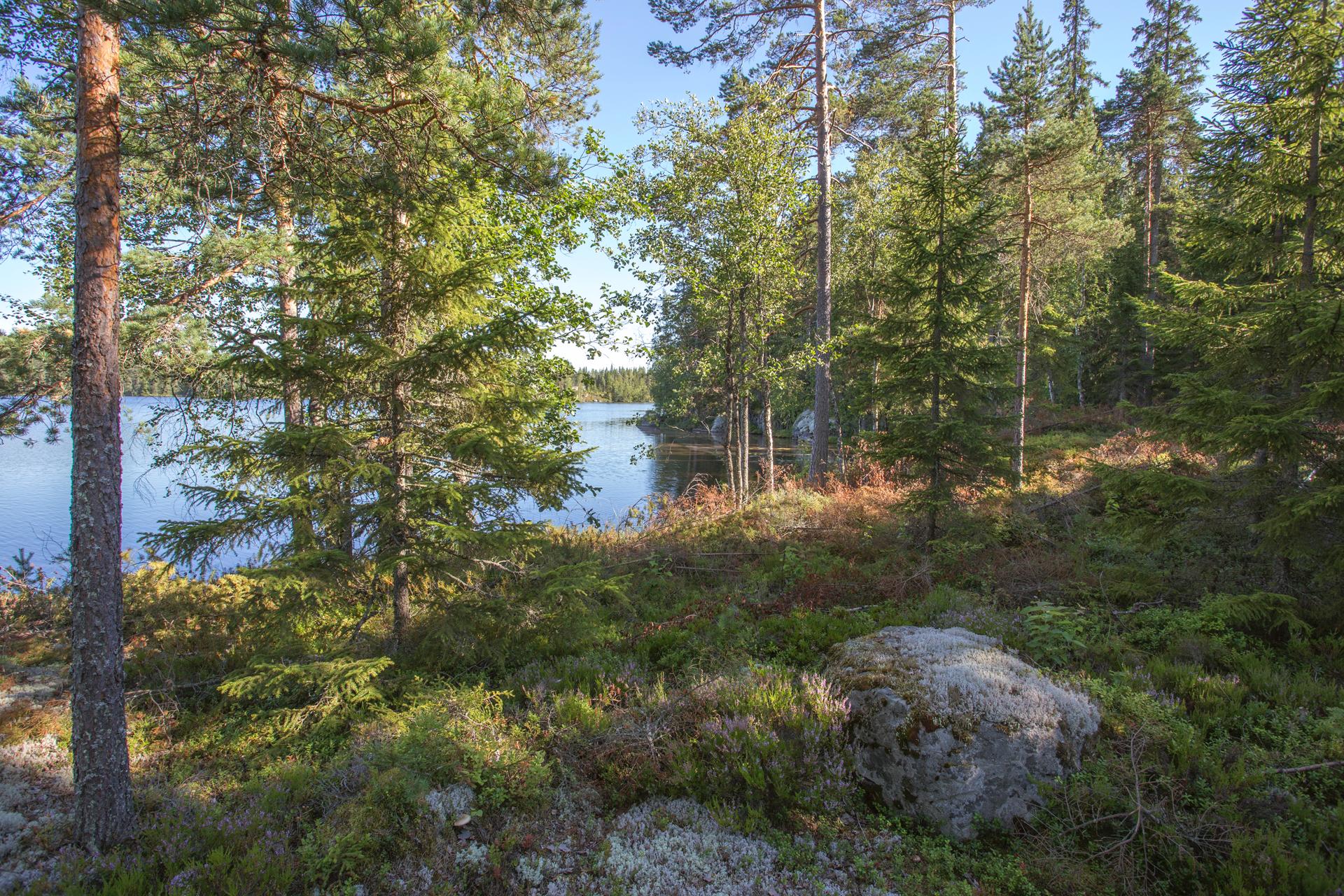 Jakamantie 149, Velaatta, Tampere