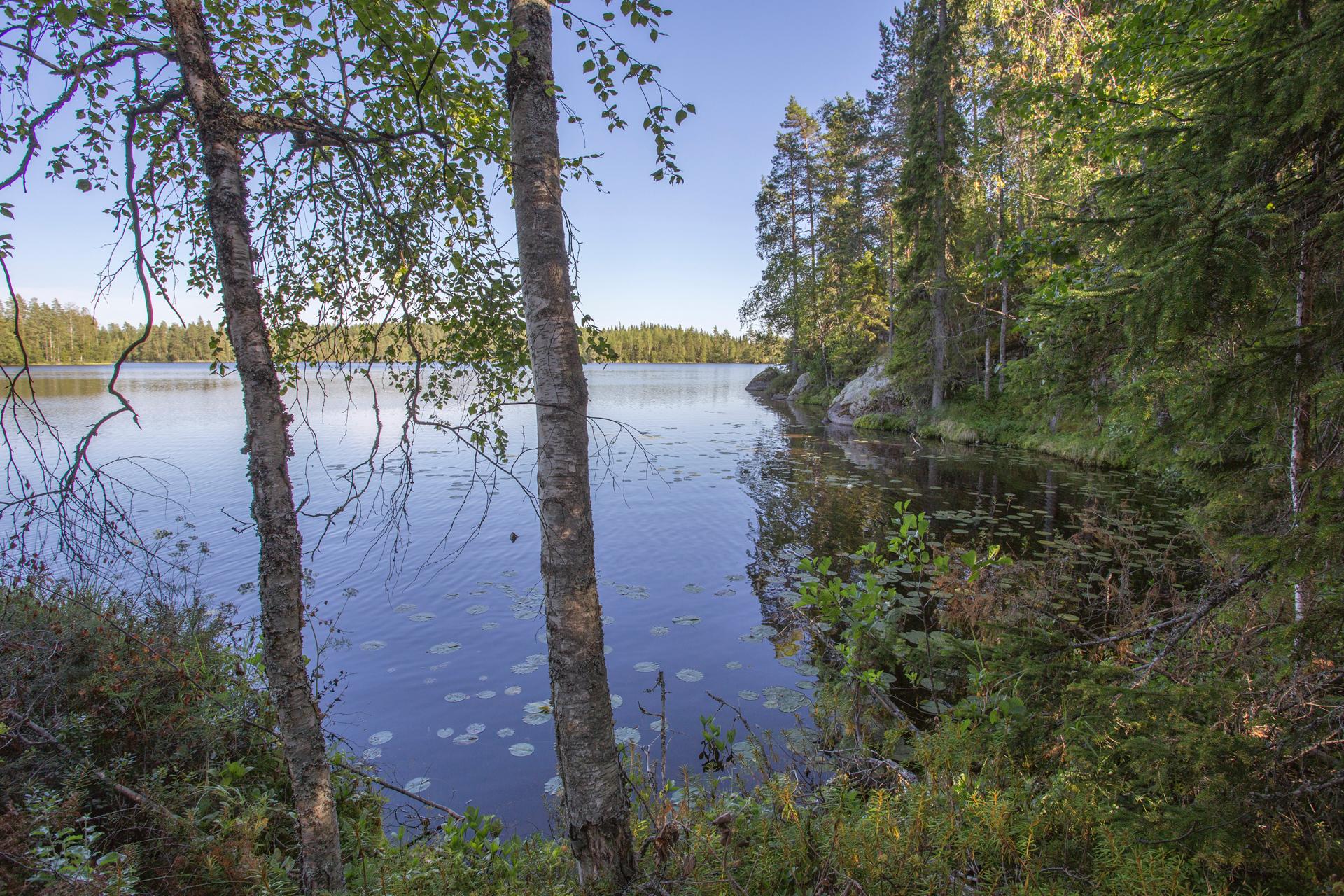 Jakamantie 149, Velaatta, Tampere