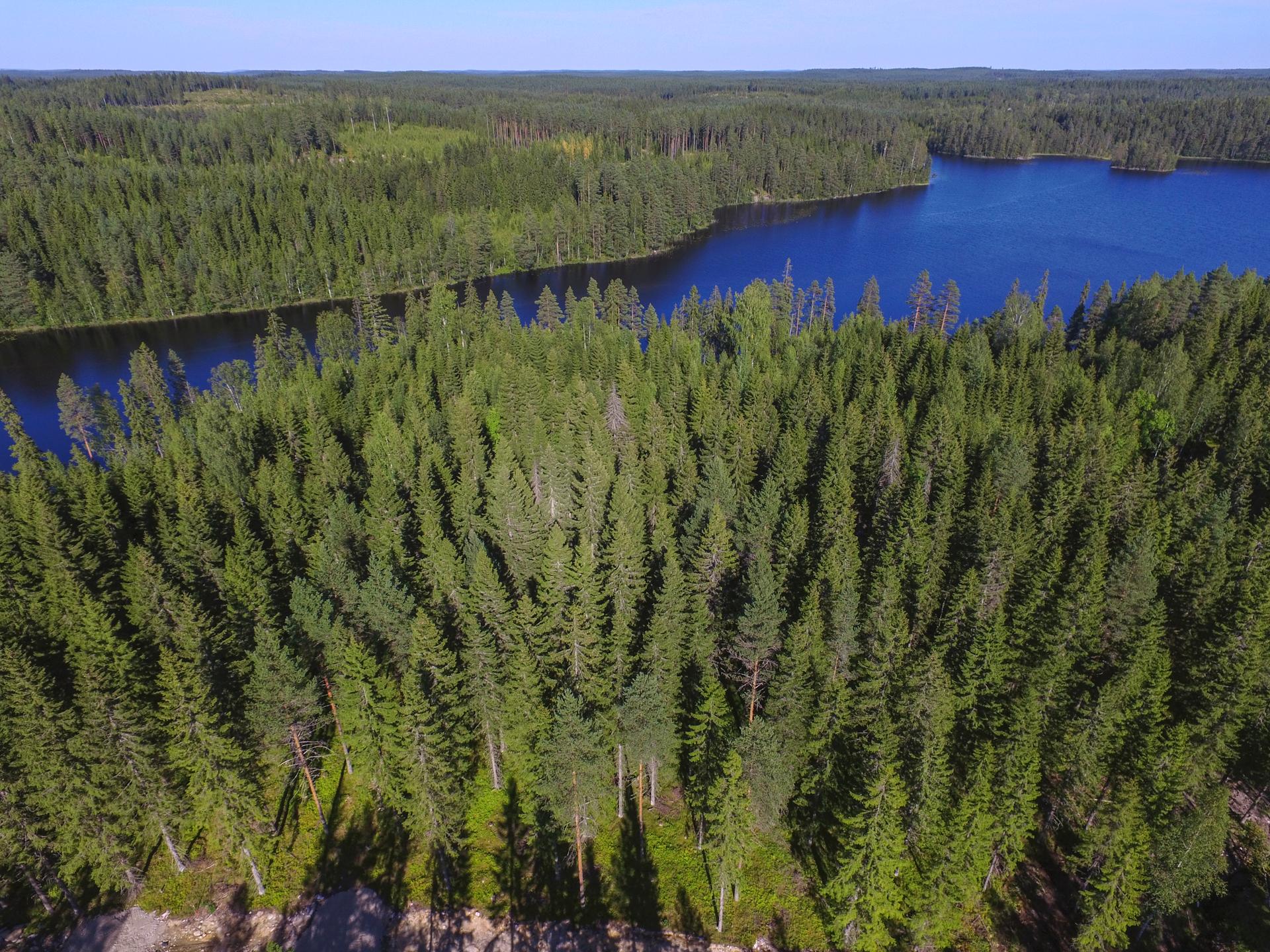 Jakamantie 151, Velaatta, Tampere