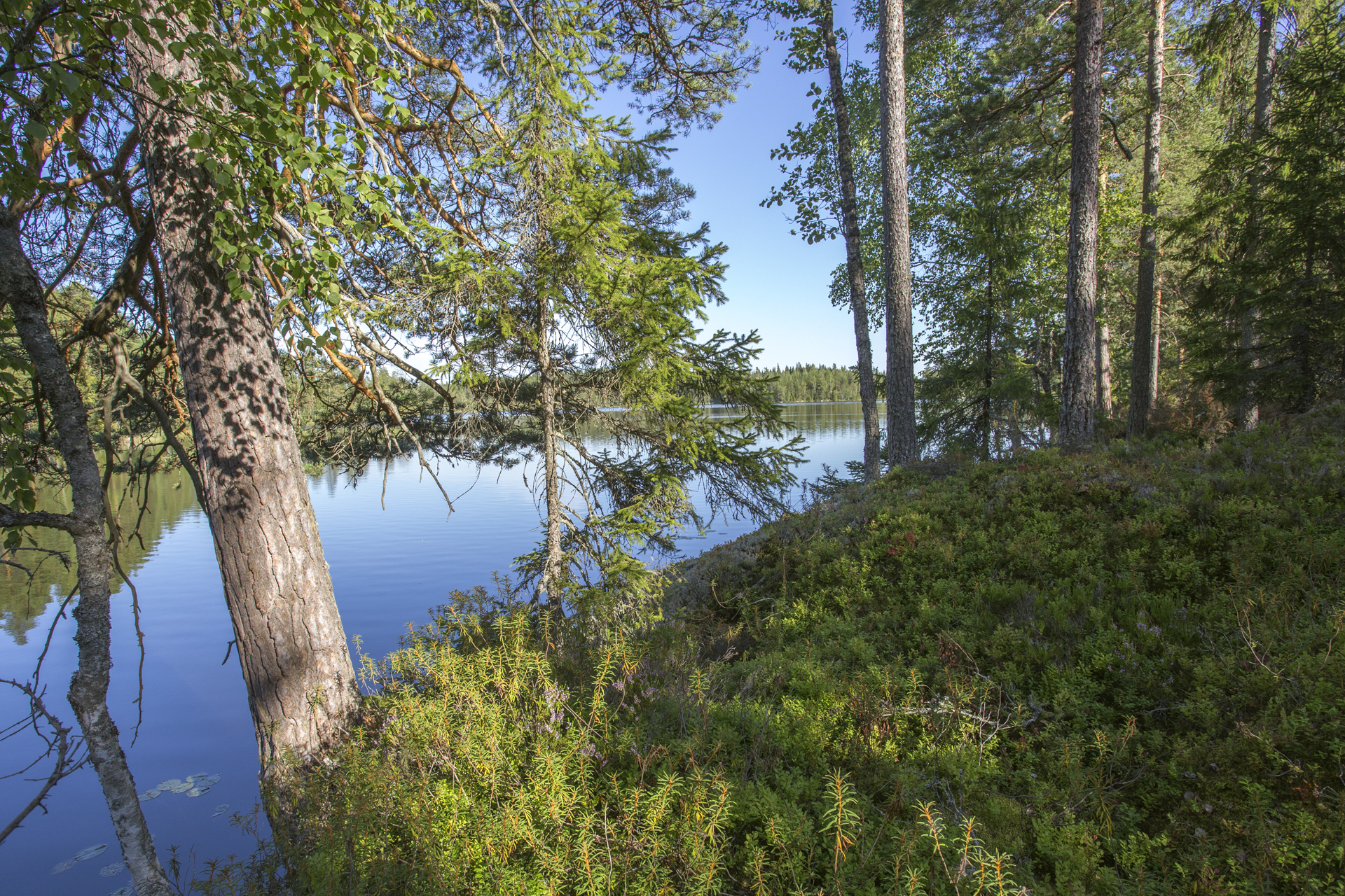 Jakamantie 151, Velaatta, Tampere