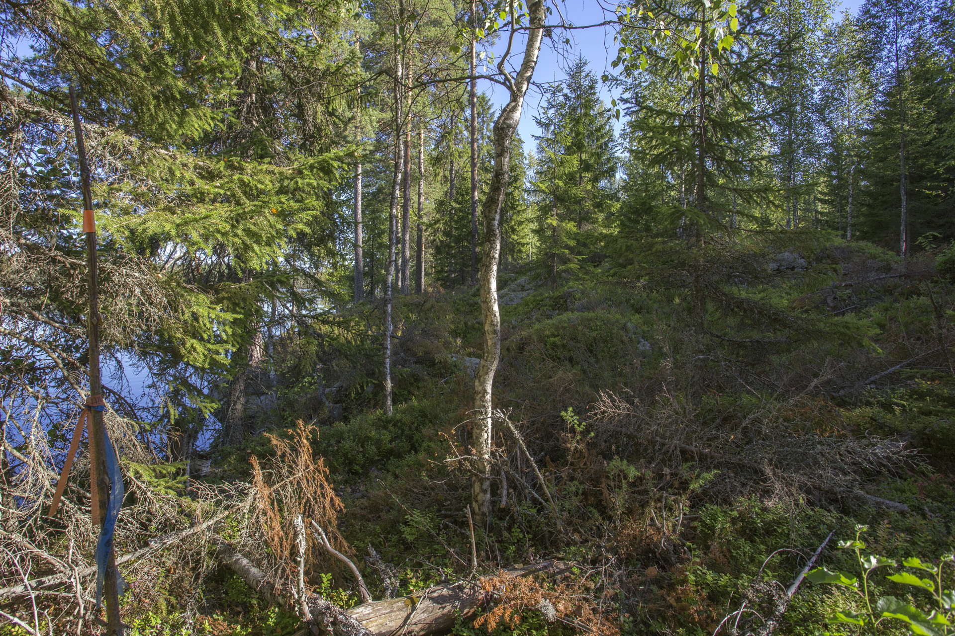 Jakamantie 151, Velaatta, Tampere