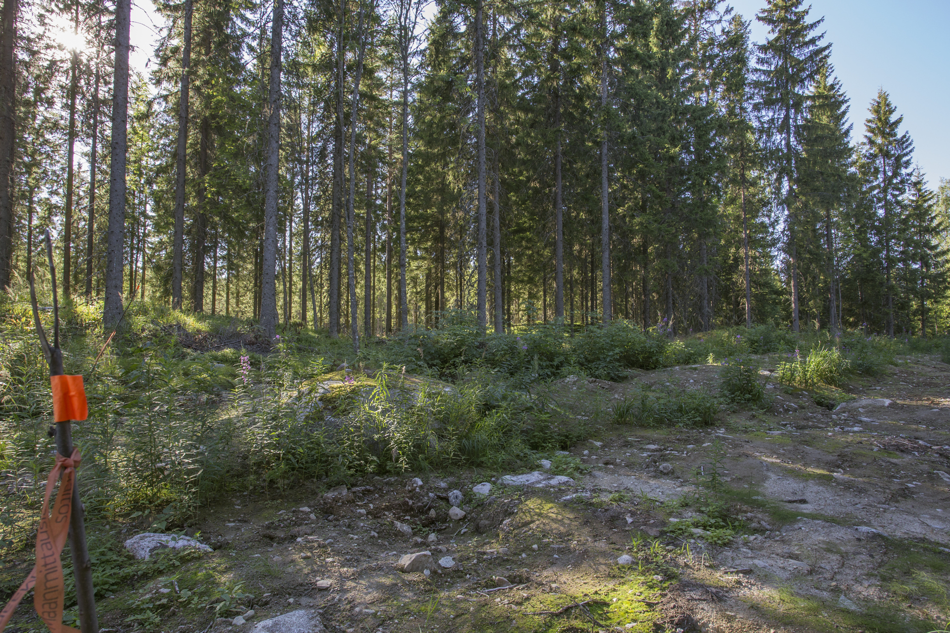 Jakamantie 151, Velaatta, Tampere