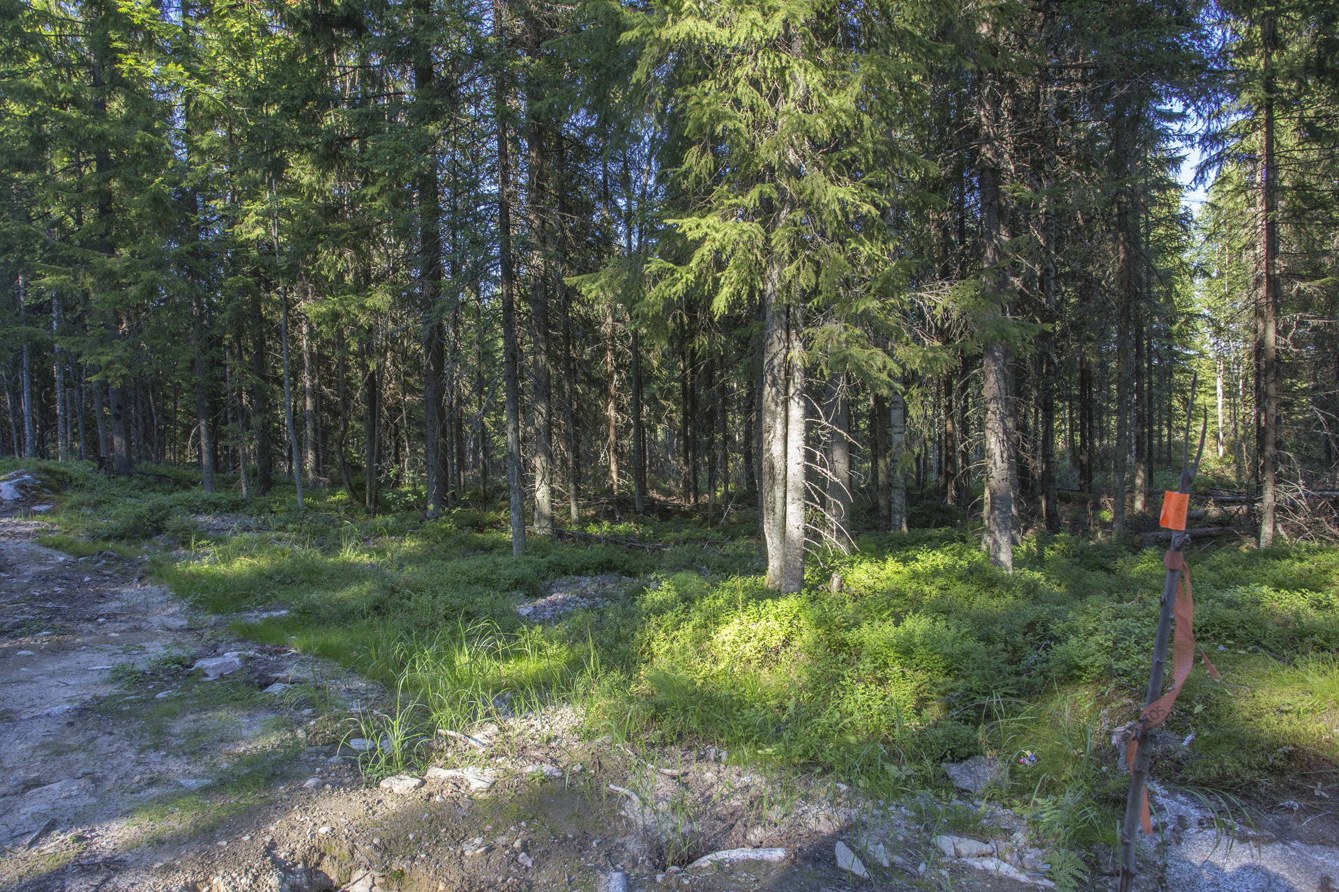 Jakamantie 151, Velaatta, Tampere