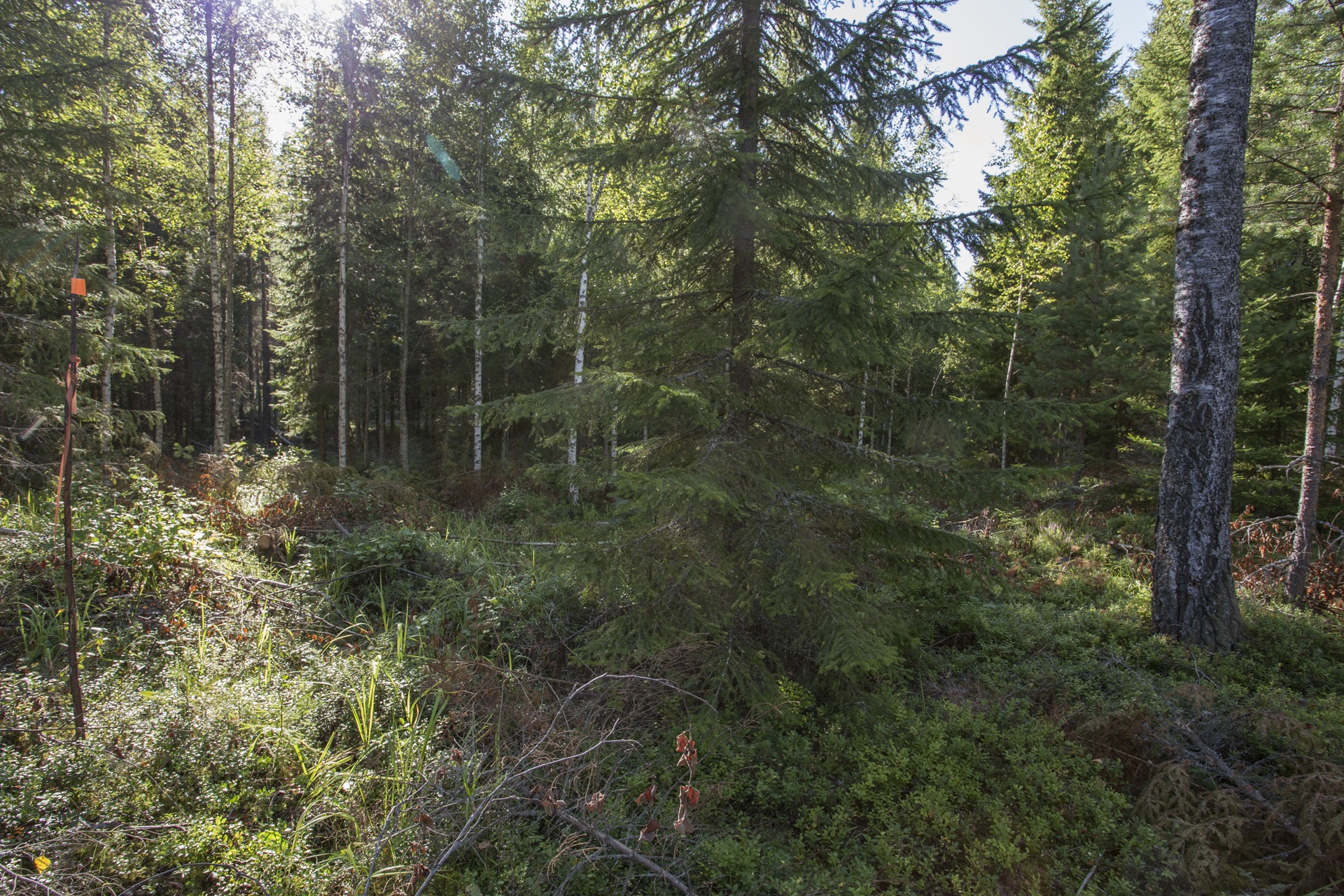 Jakamantie 151, Velaatta, Tampere