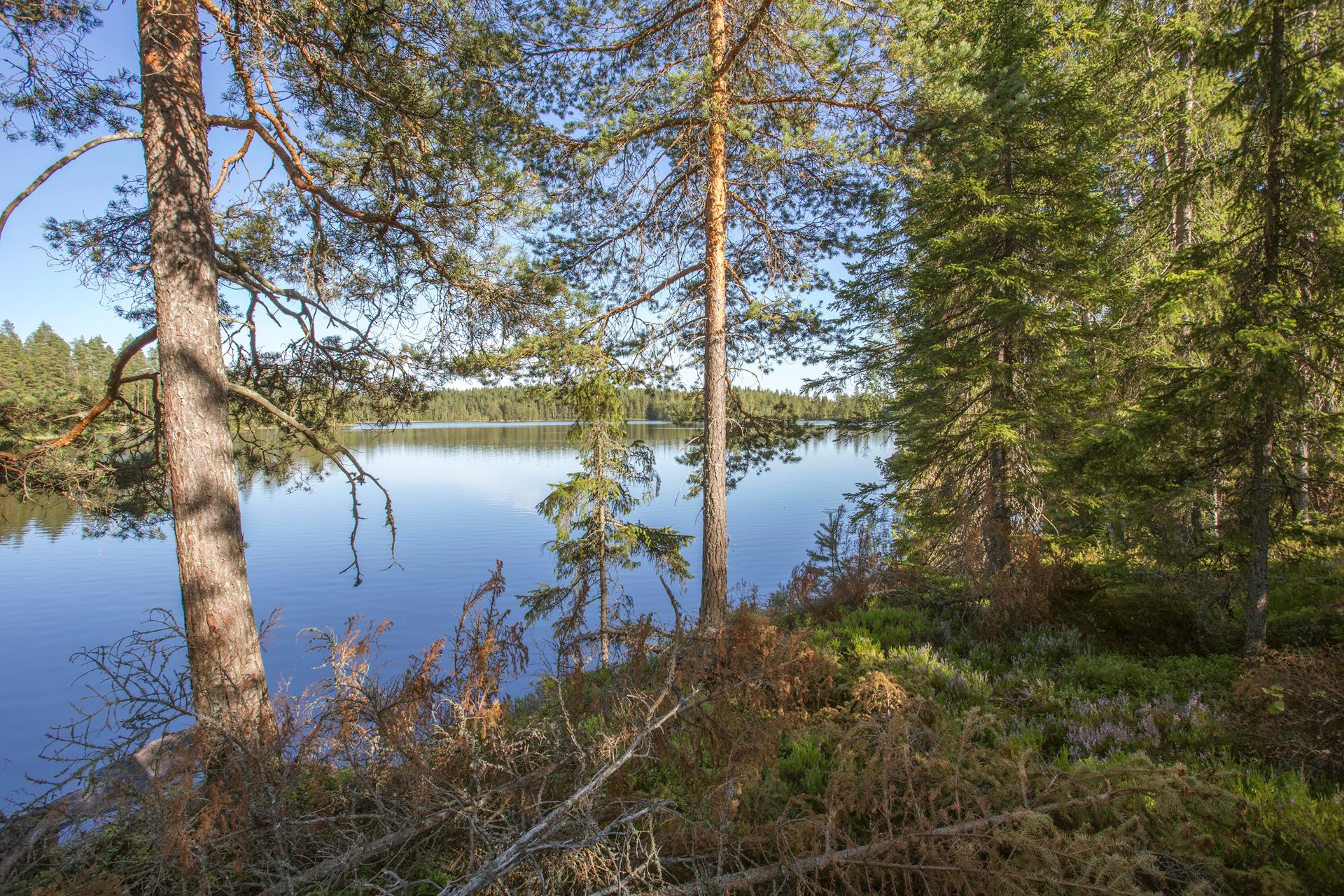 Jakamantie 151, Velaatta, Tampere